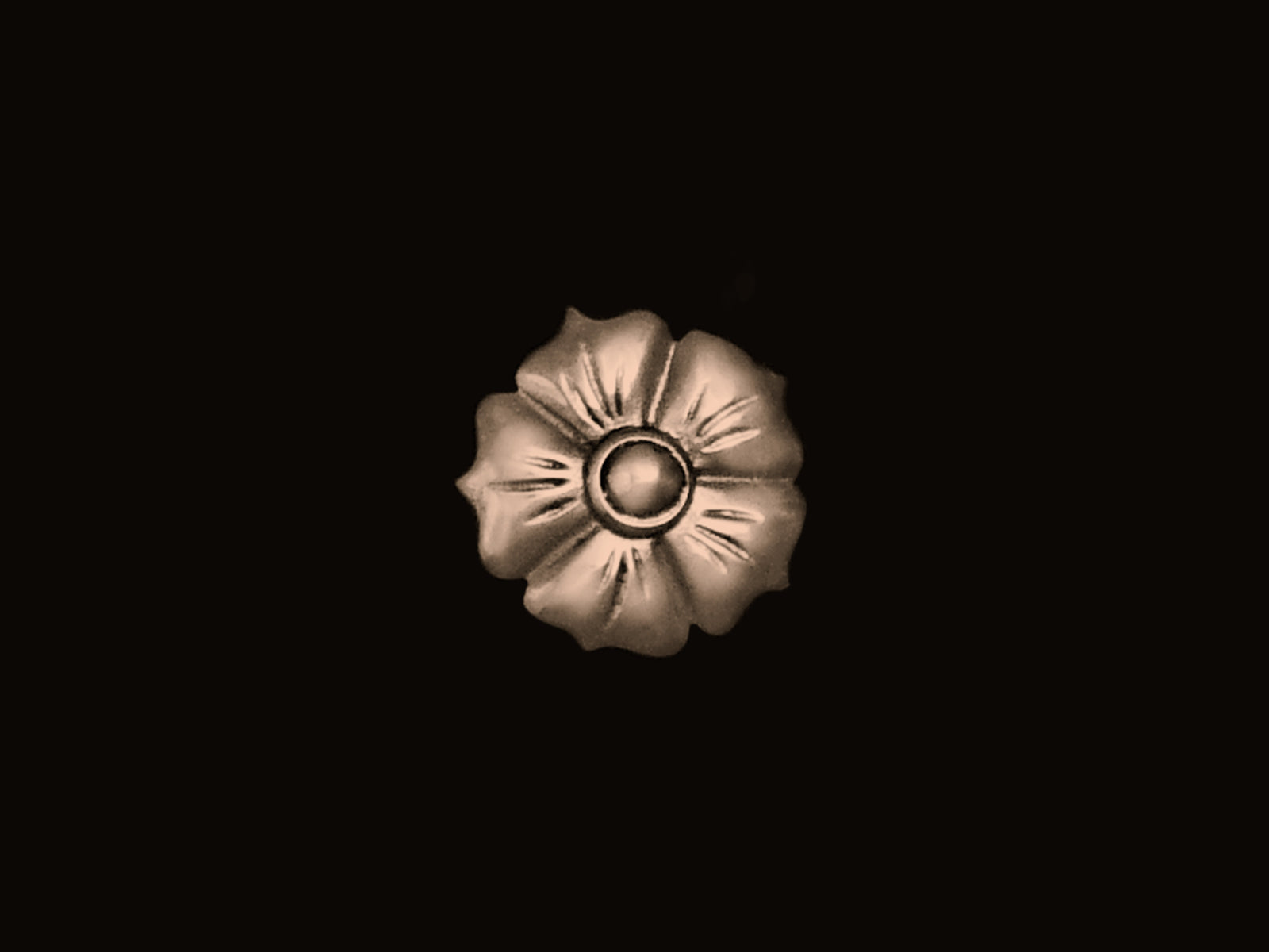 Blüte in 5 Größen