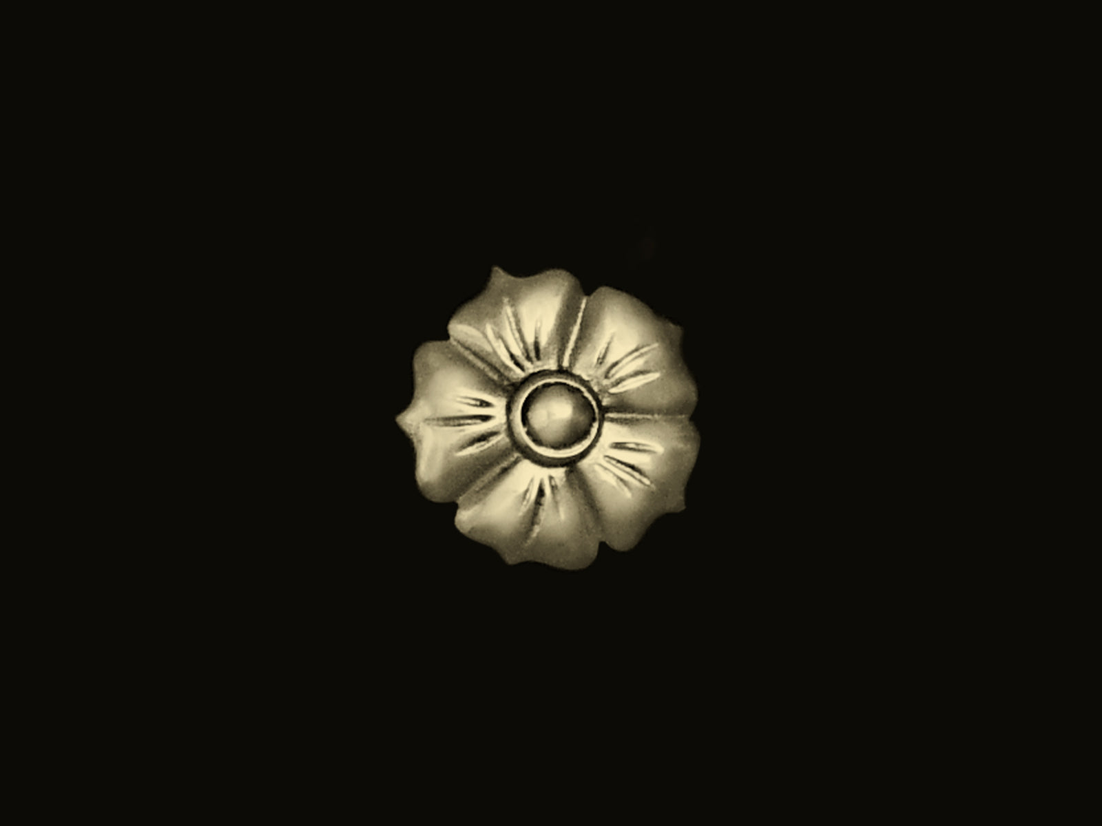 Blüte in 5 Größen