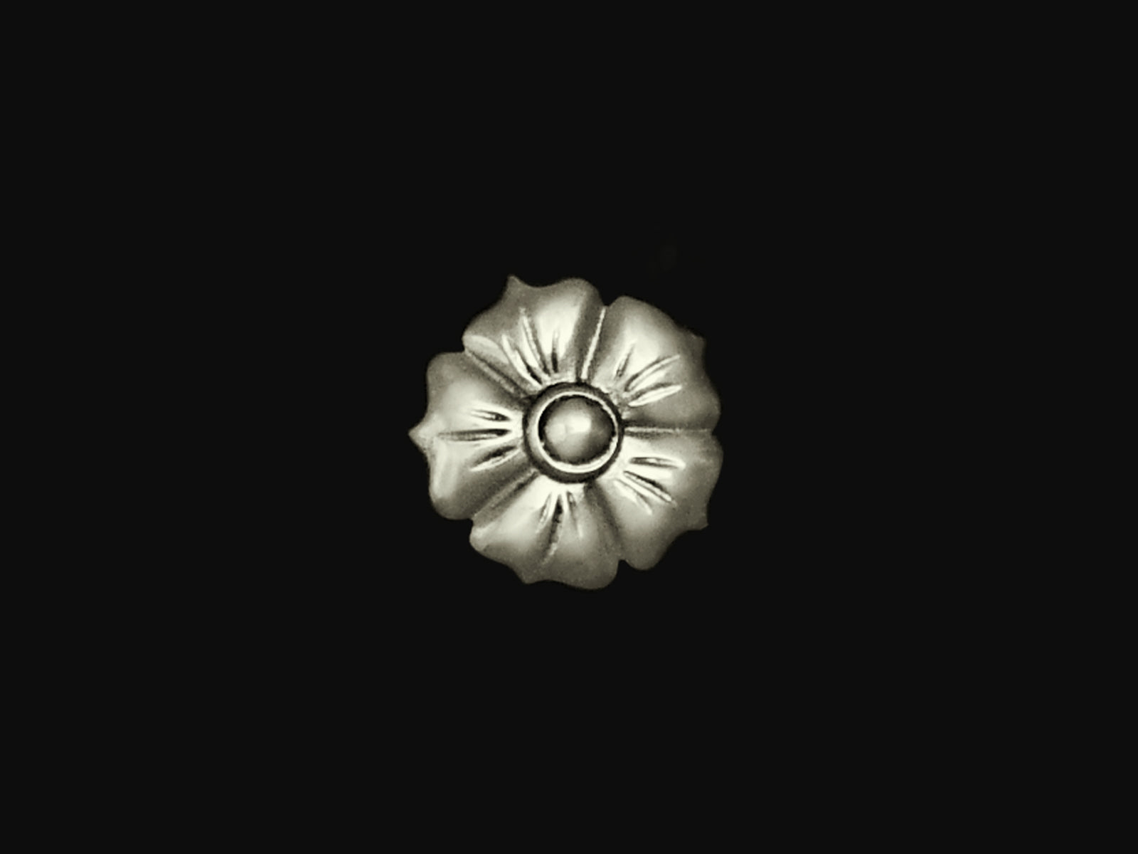 Blüte in 5 Größen