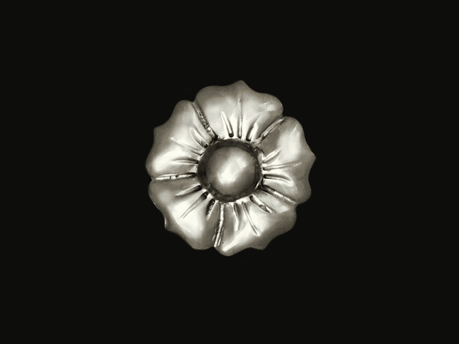 Blüte in 5 Größen