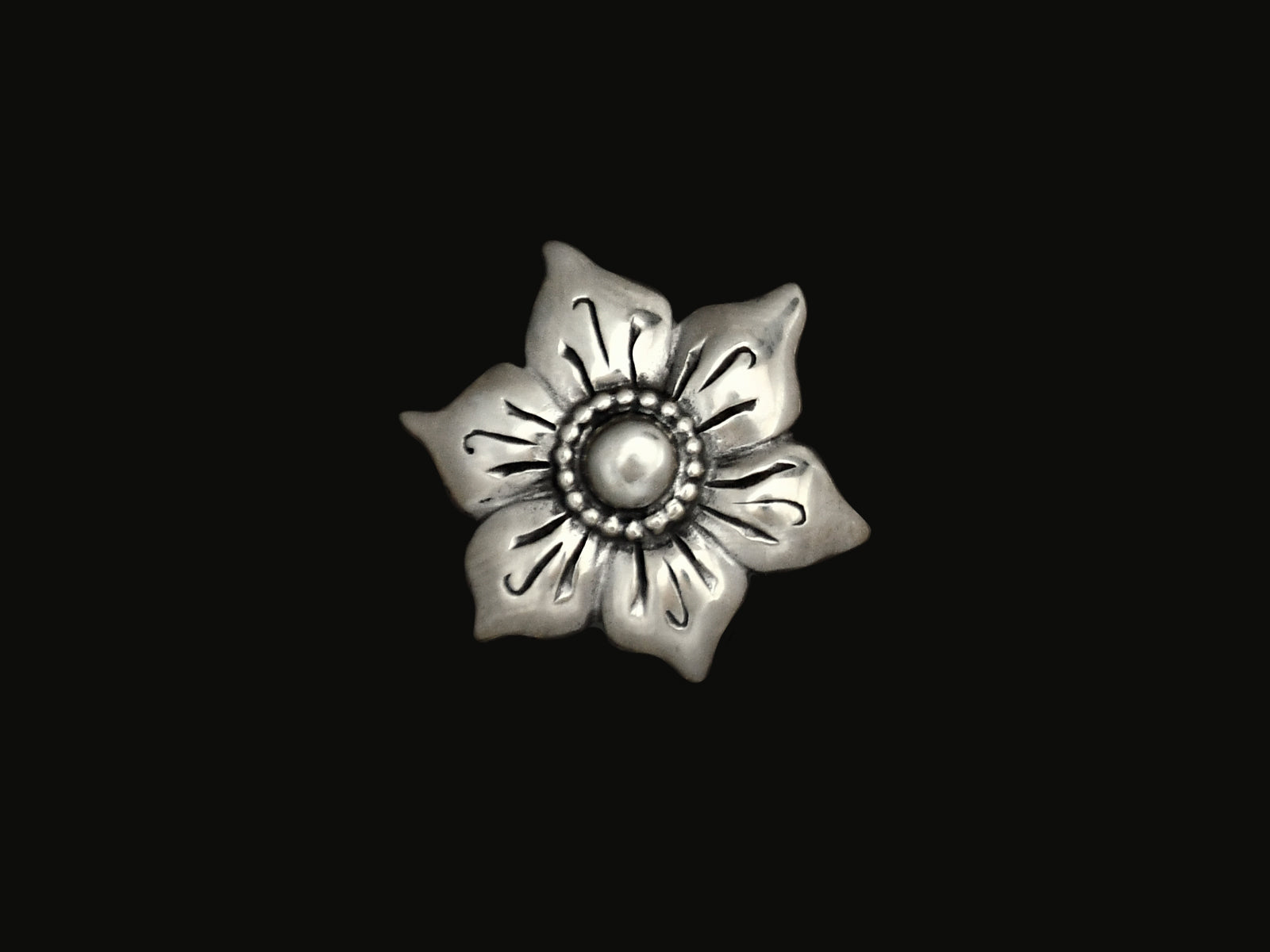 Blüte mit Perlrand