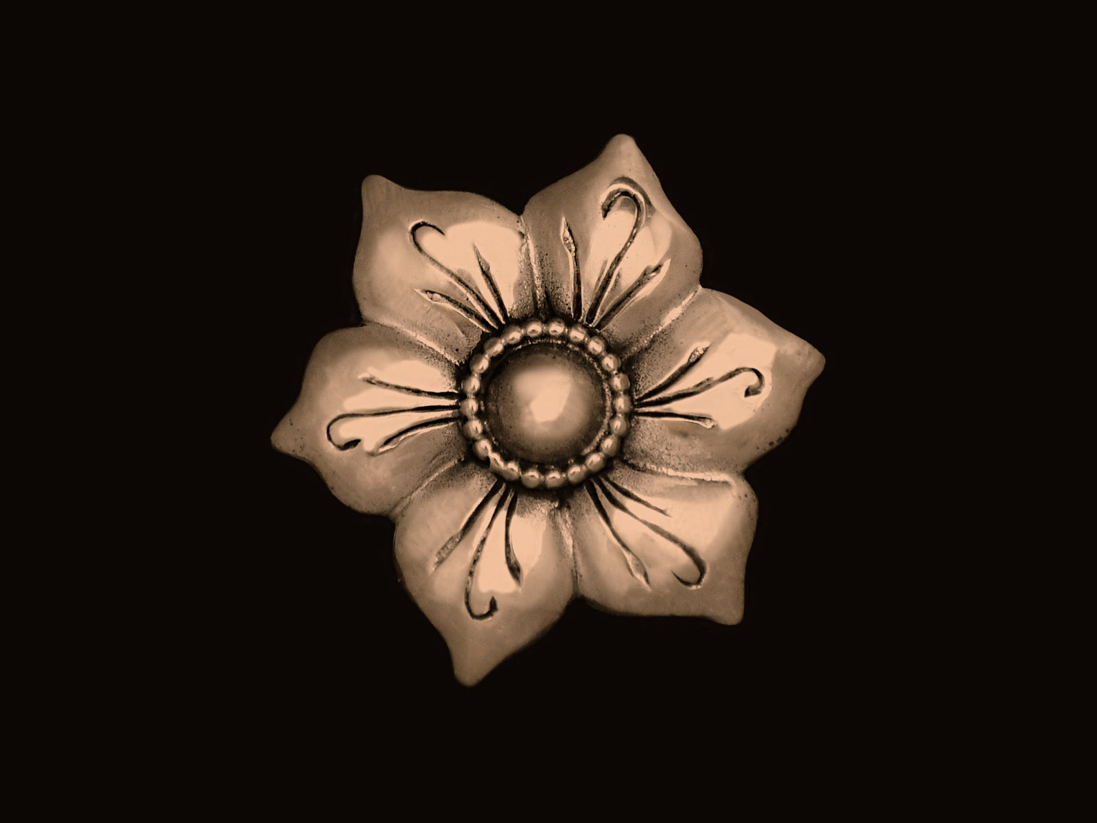 Blüte mit Perlrand