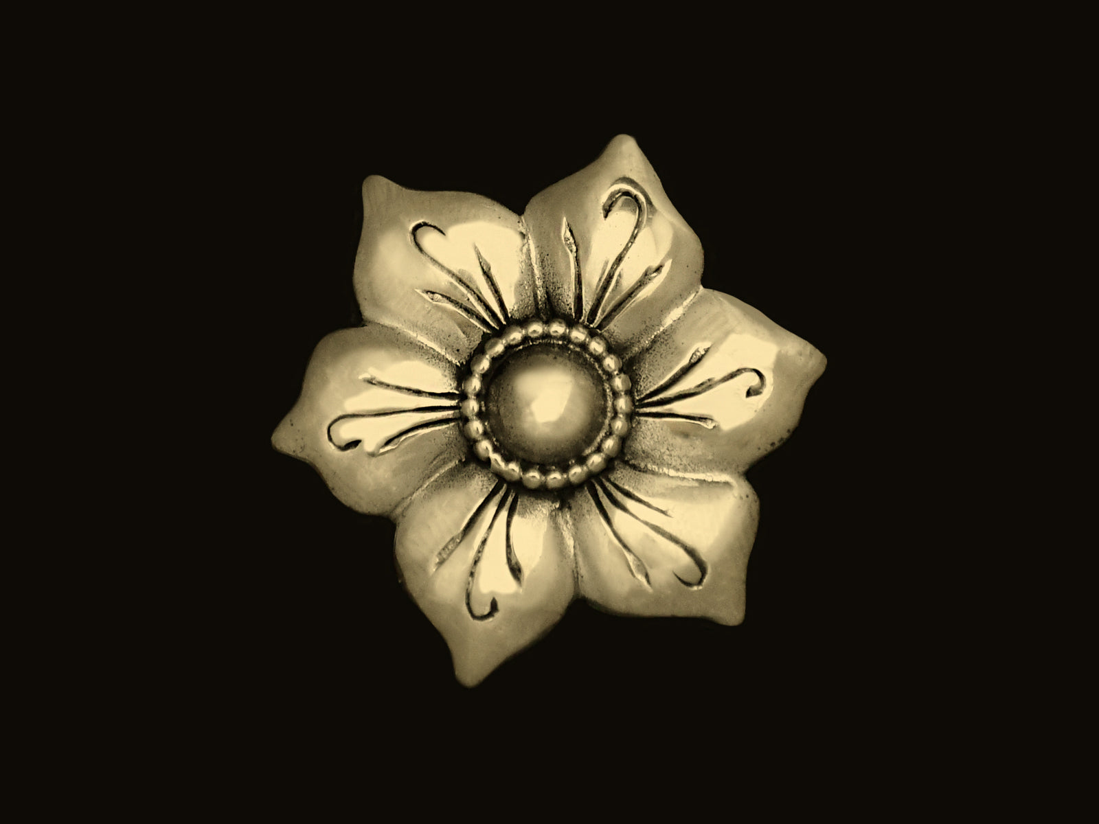Blüte mit Perlrand