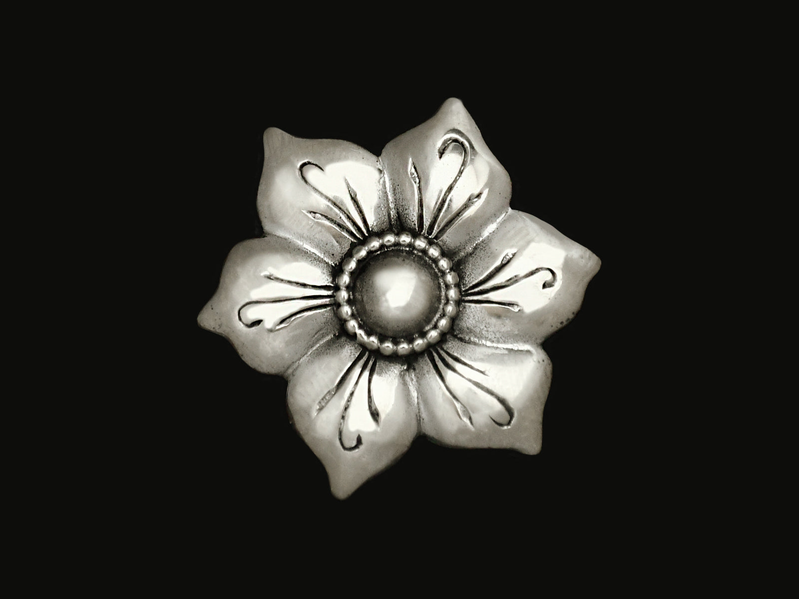 Blüte mit Perlrand