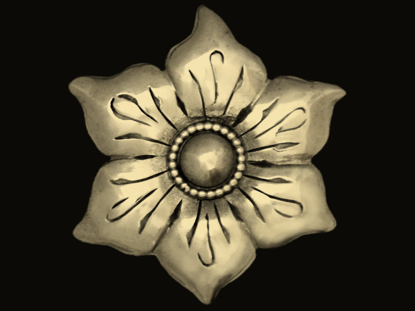 Blüte mit Perlrand