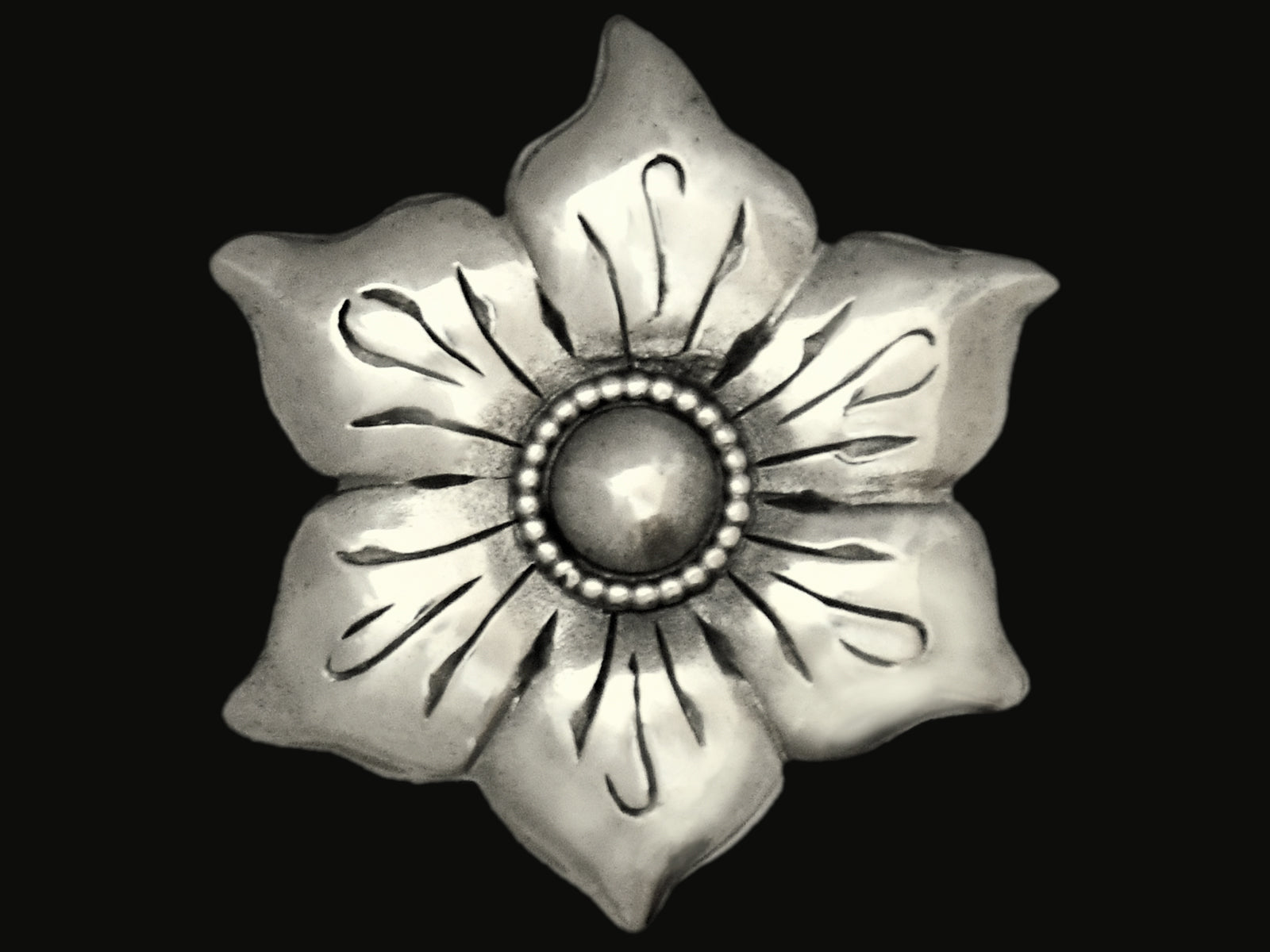 Blüte mit Perlrand