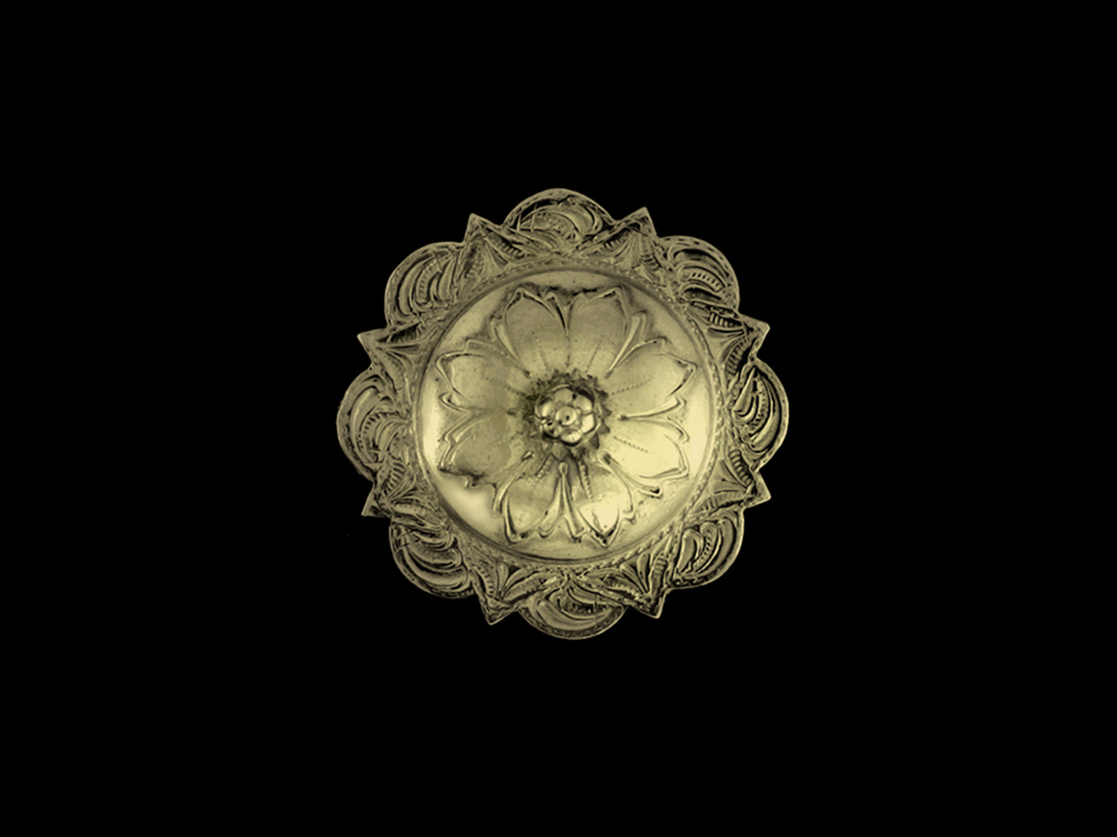 Concha Vintage REP7
