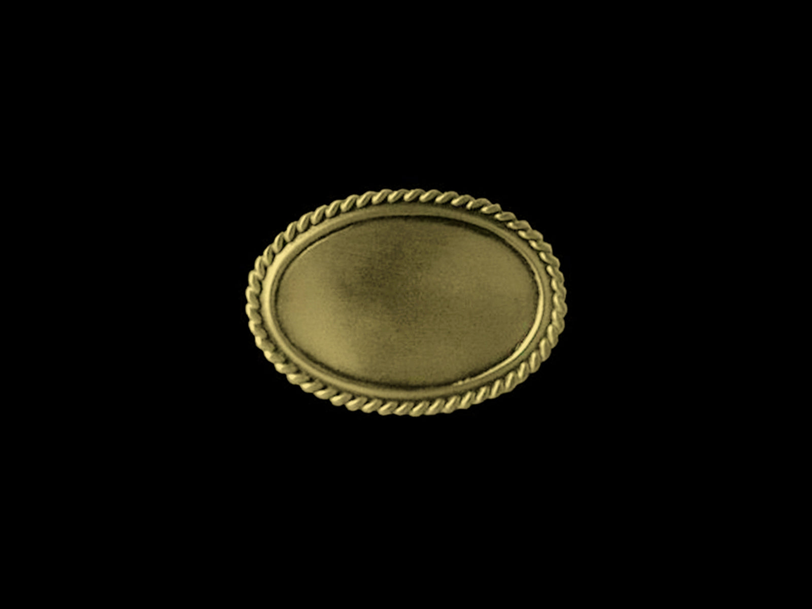 Plakette blank oval C22