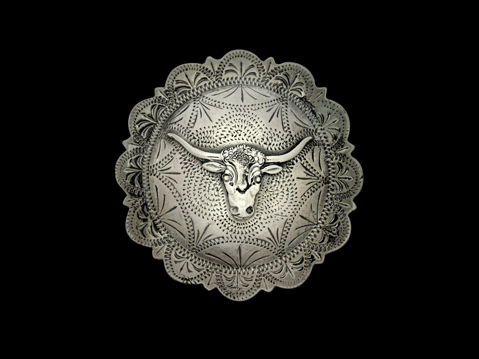 Concha REP Longhorn groß