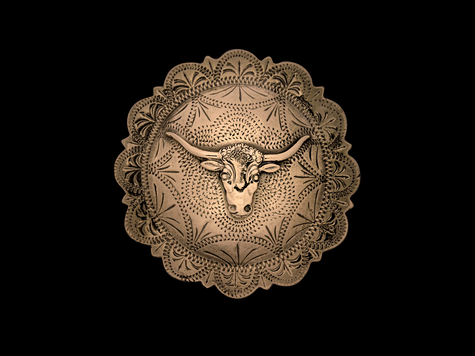 Concha REP Longhorn groß