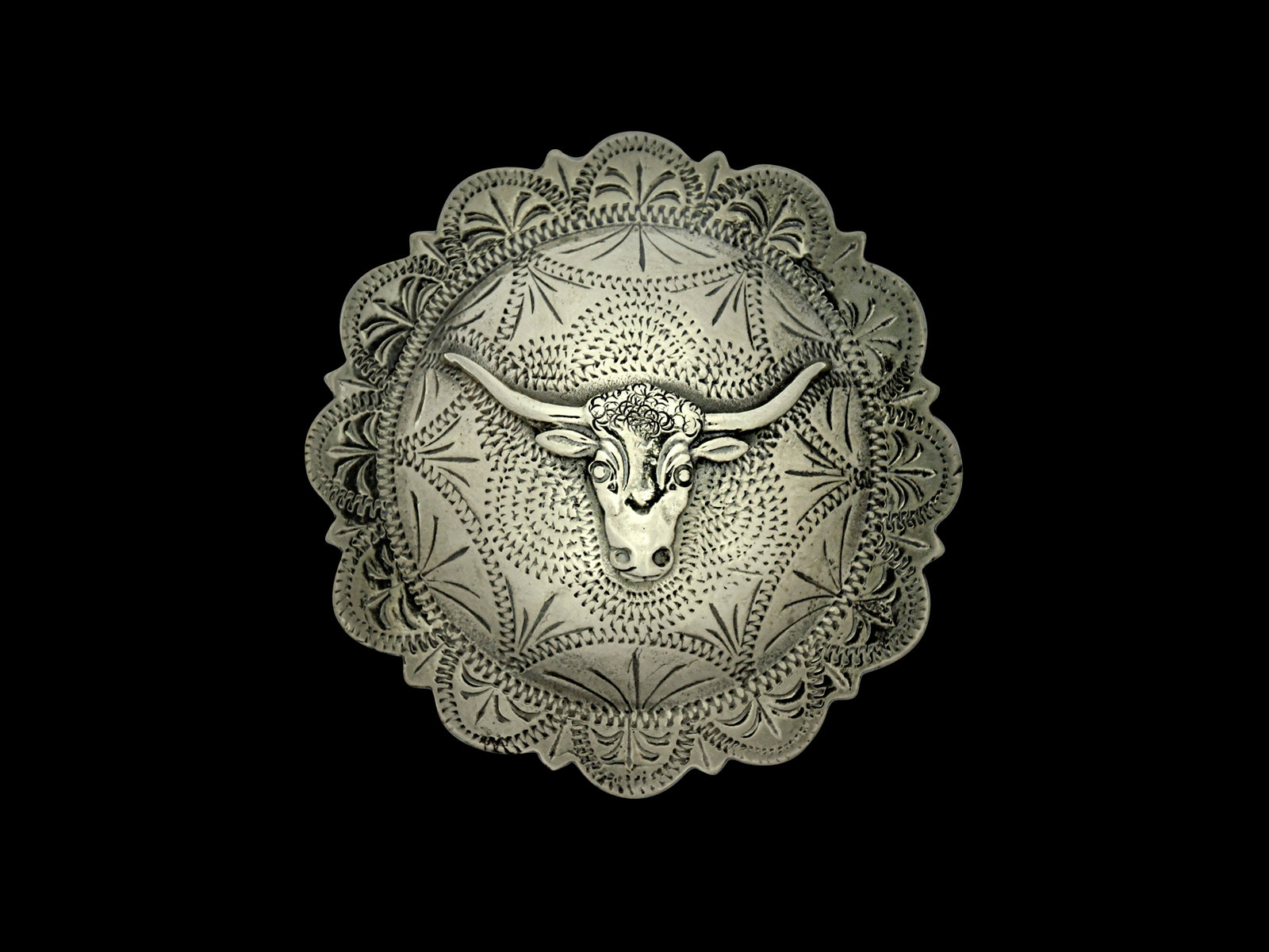 Concha REP Longhorn groß