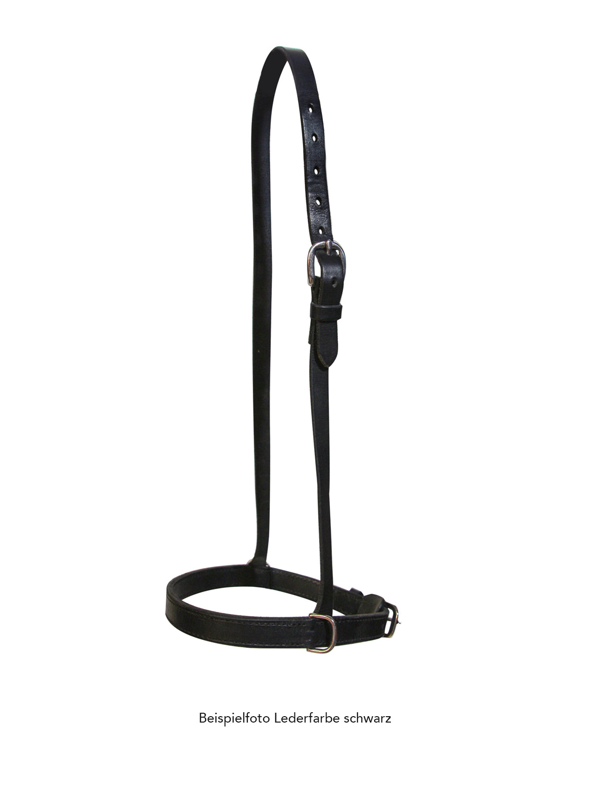 RIESER Sperrhalfter D-Ring