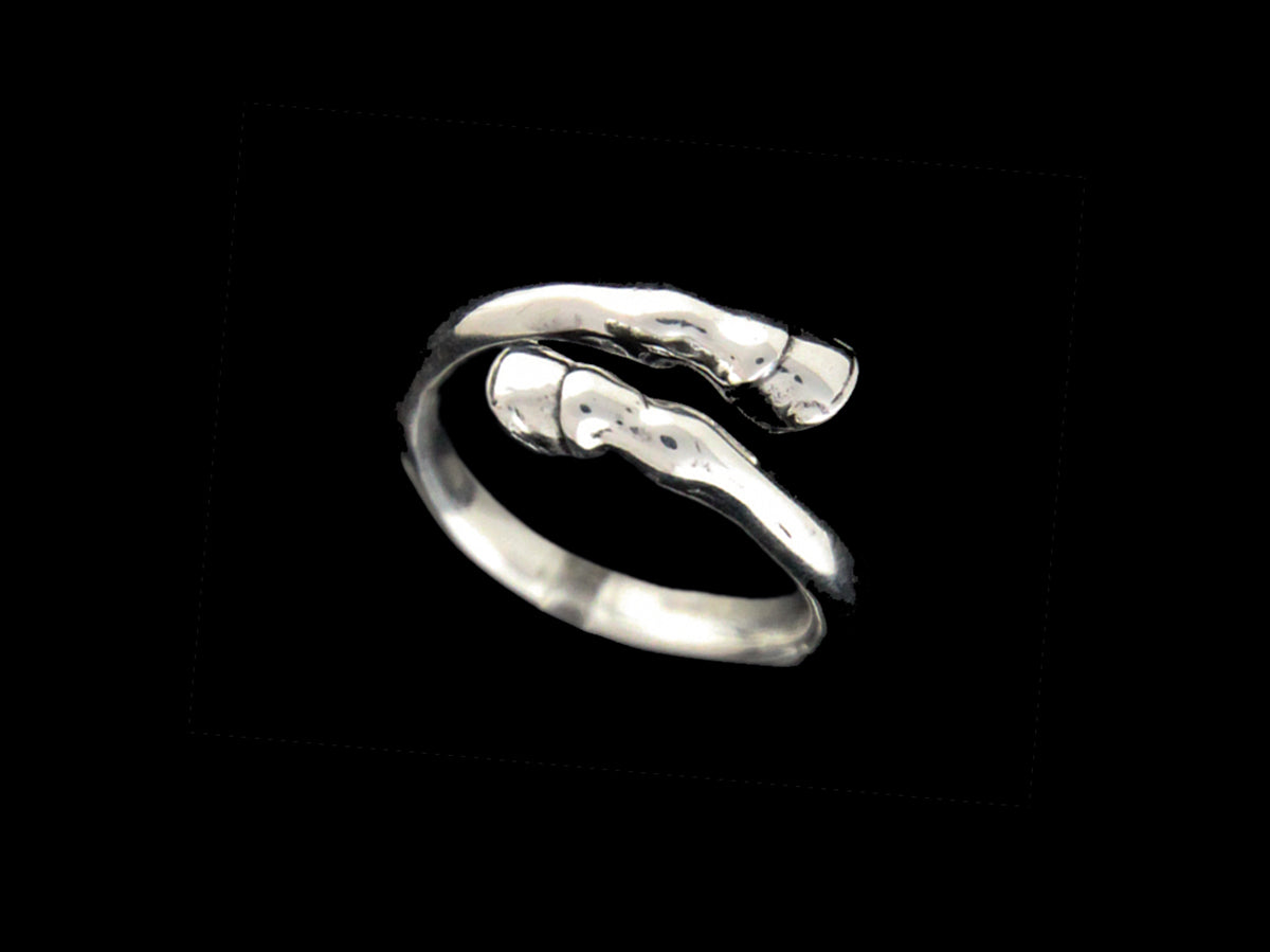 Ring Hufe