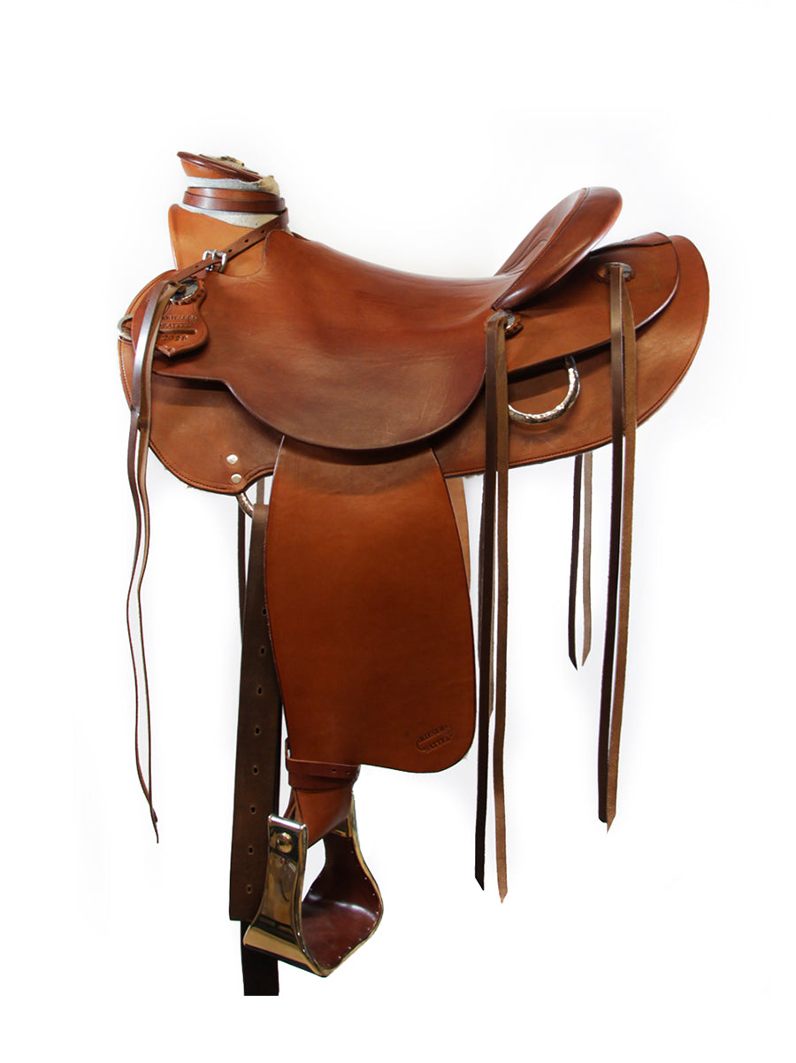 WN 2484 - Western Wade