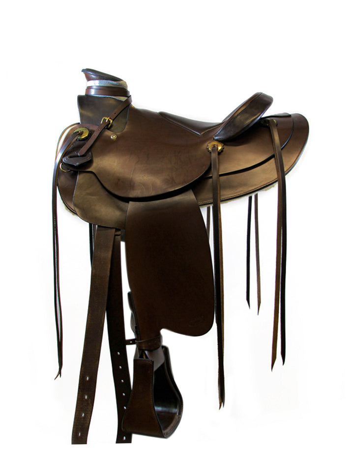 WN 2485 - Western Wade