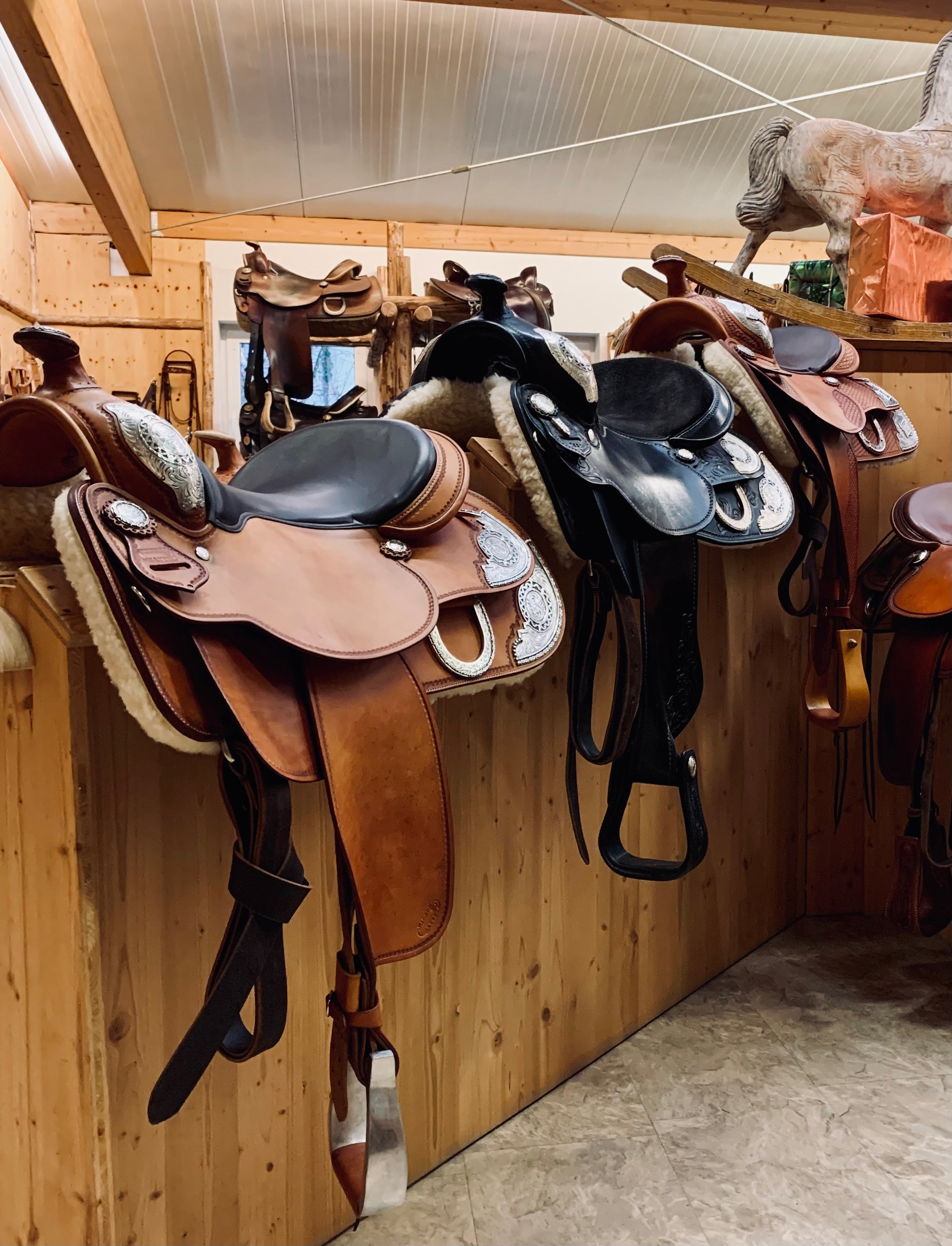 Neusättel Reining