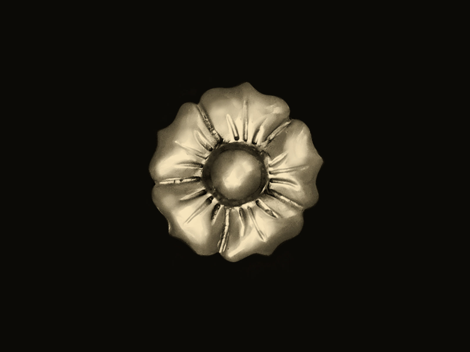 Blüte in 5 Größen