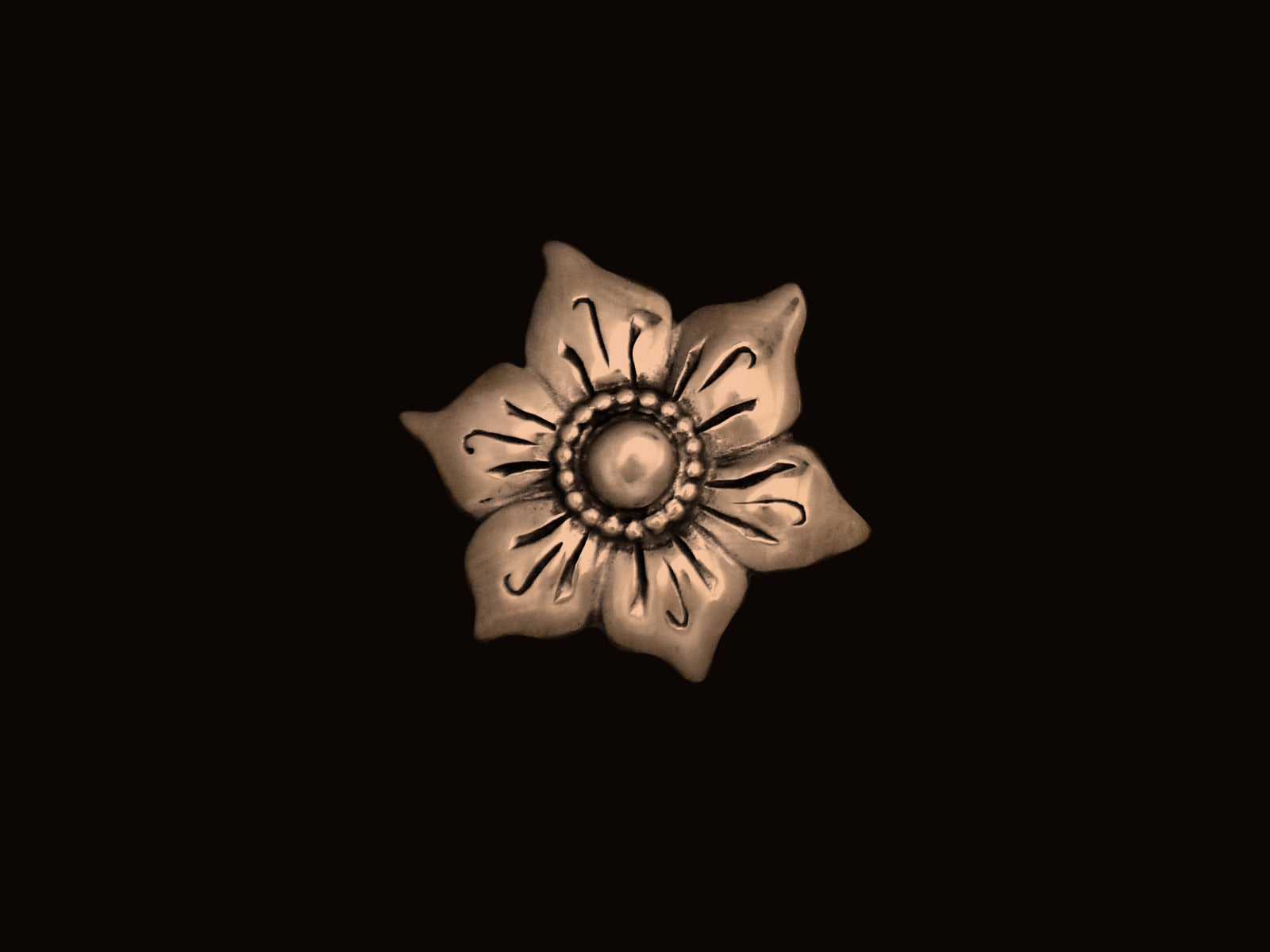 Blüte mit Perlrand