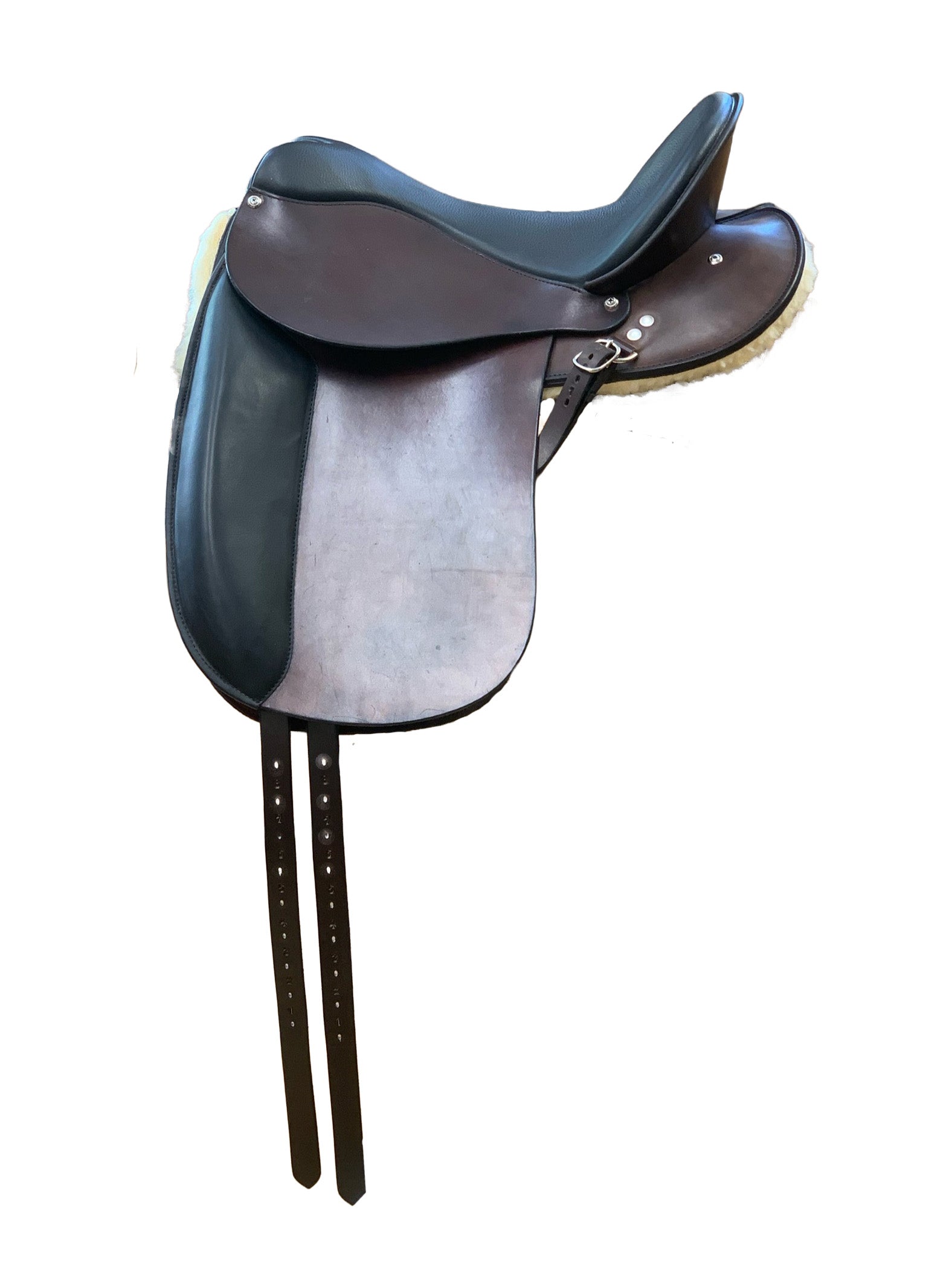 DN 3152 - Dressur