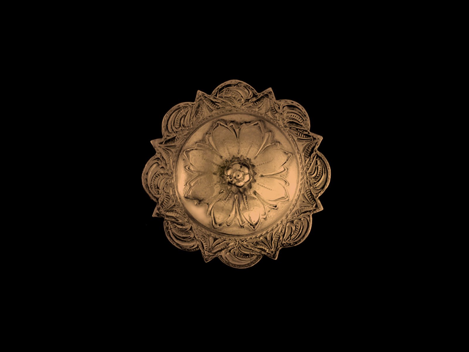 Concha Vintage REP7