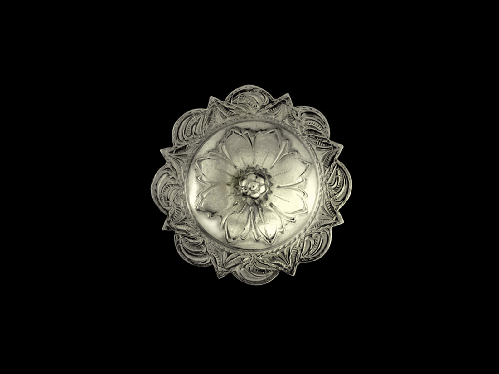 Concha Vintage REP7
