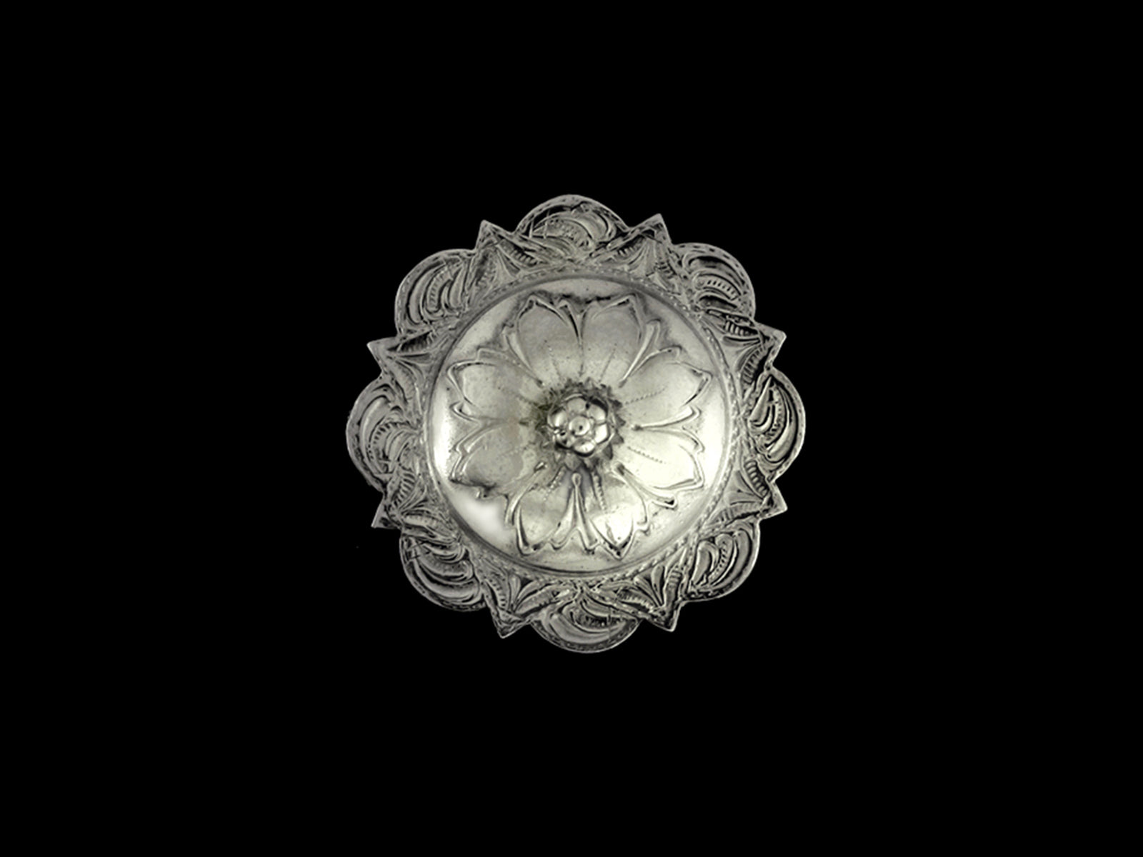 Concha Vintage REP7