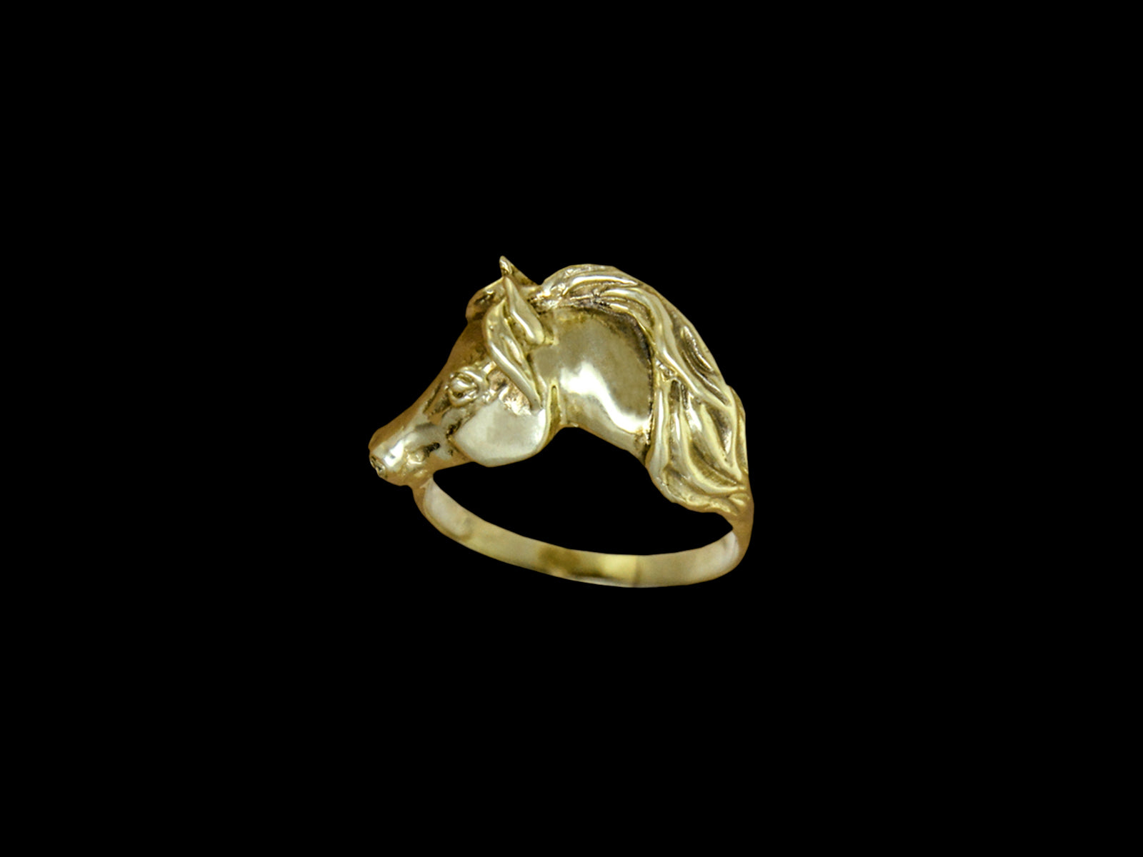 Ring Pferdekopf