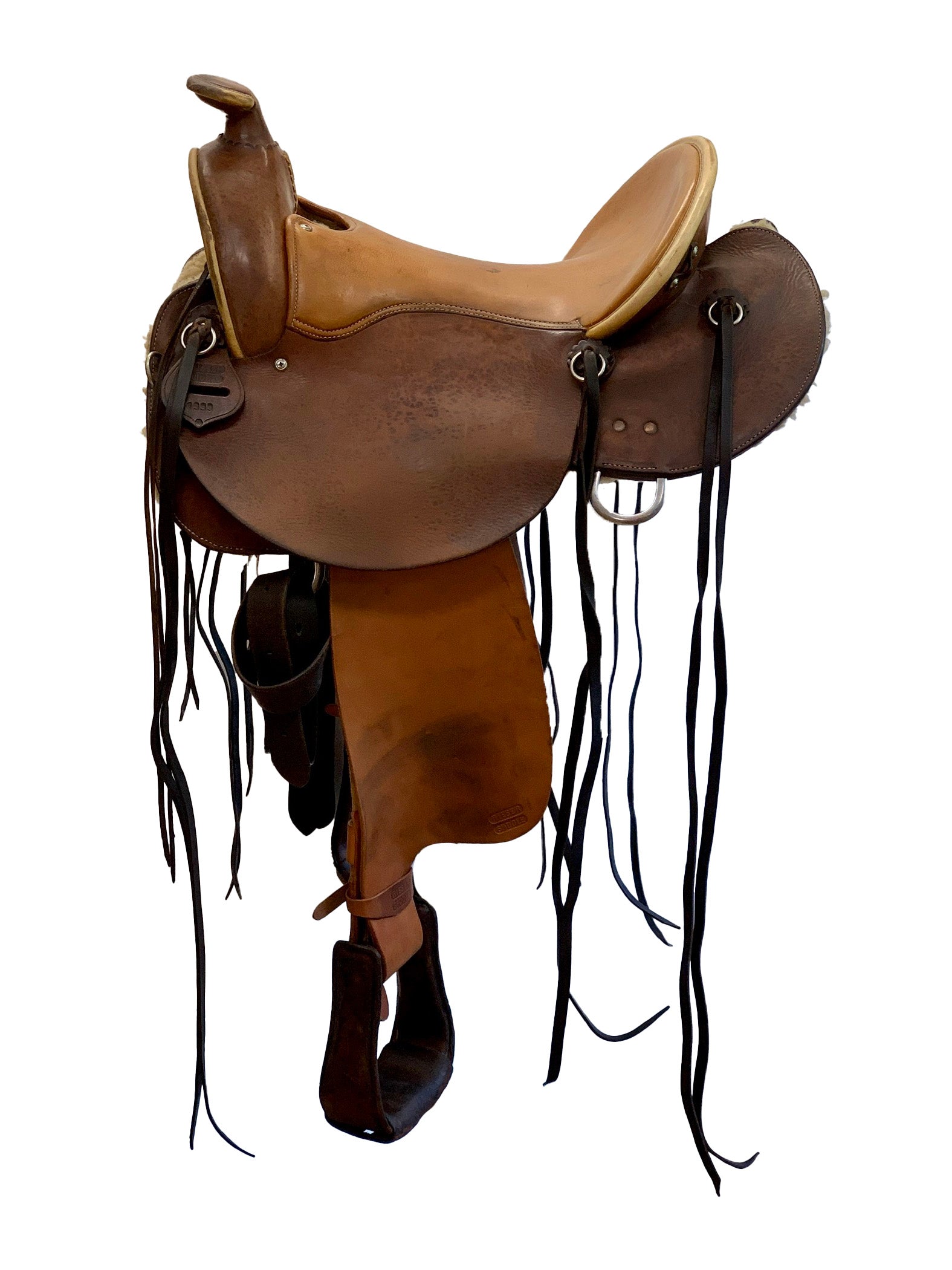 WG 3100 Western