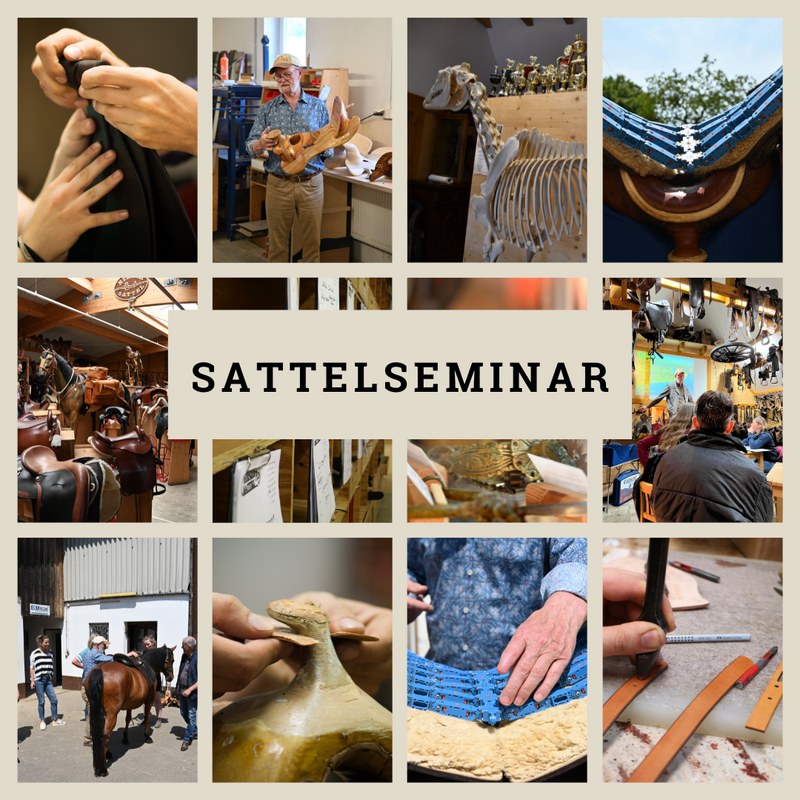Die Eintrittskarte für das Sattelseminar 22. Nov 2025