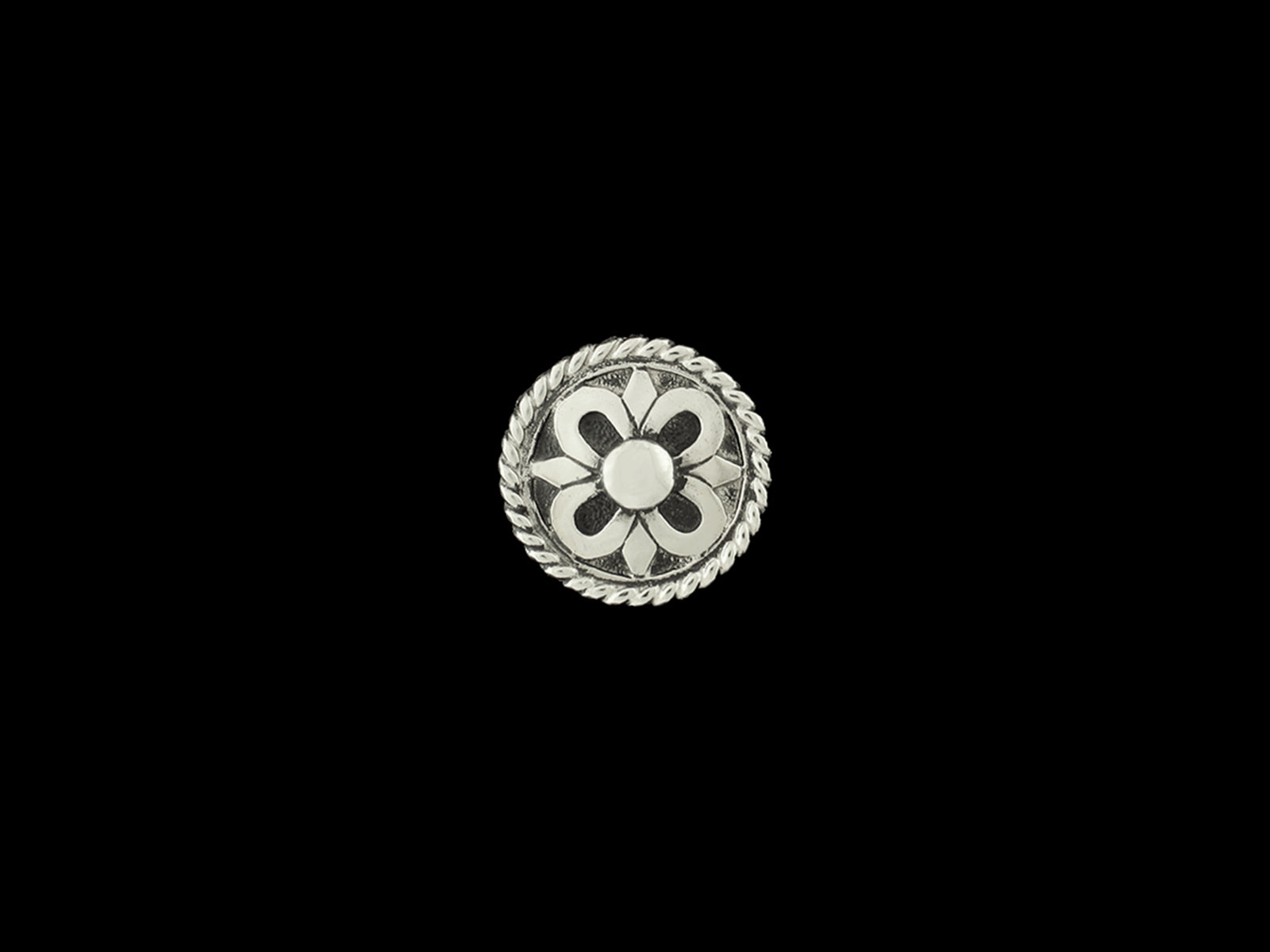 Concha Ornament C8