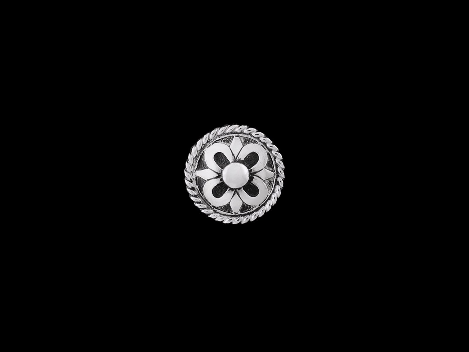 Concha Ornament C8