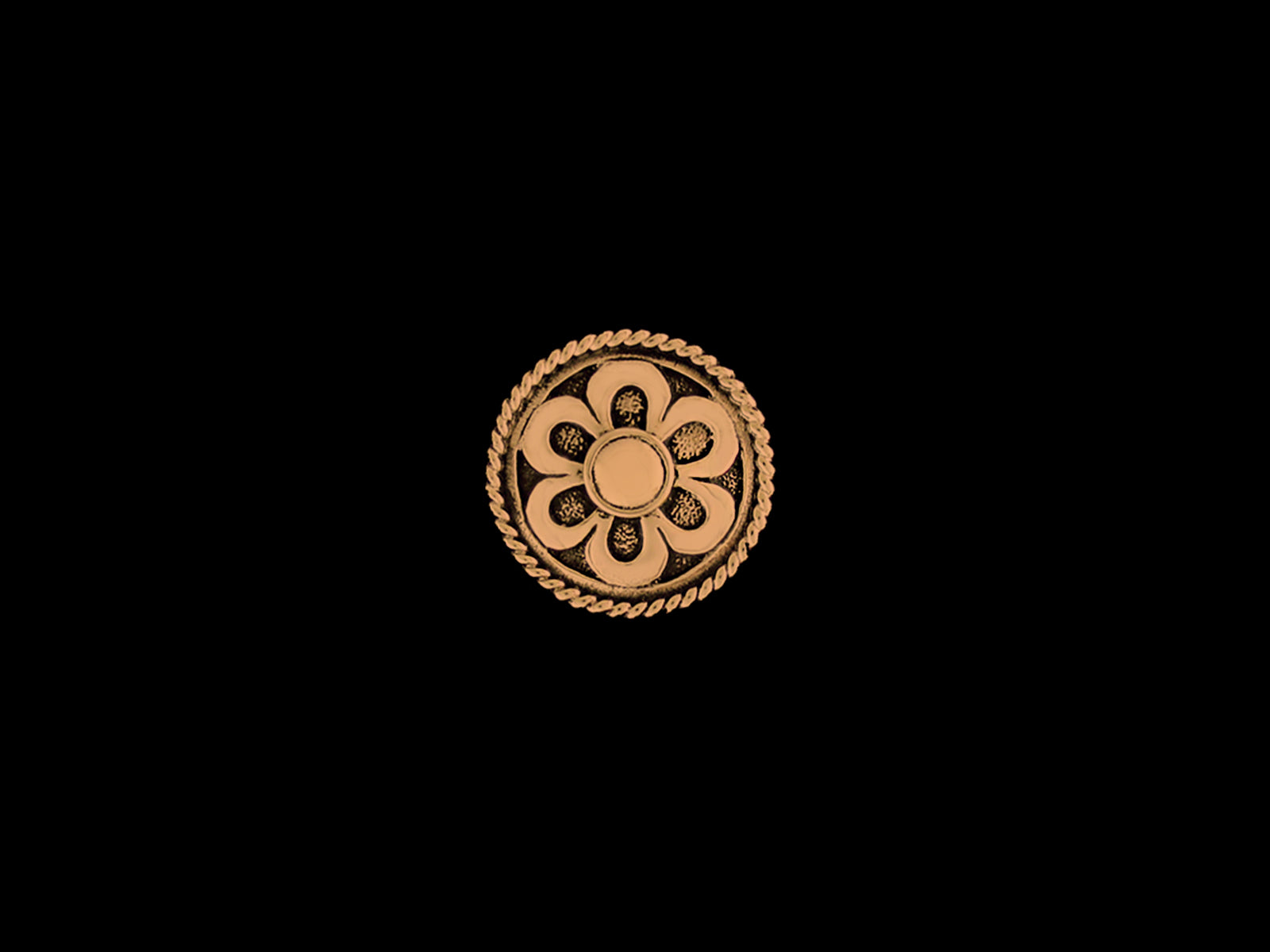 Concha Ornament C9