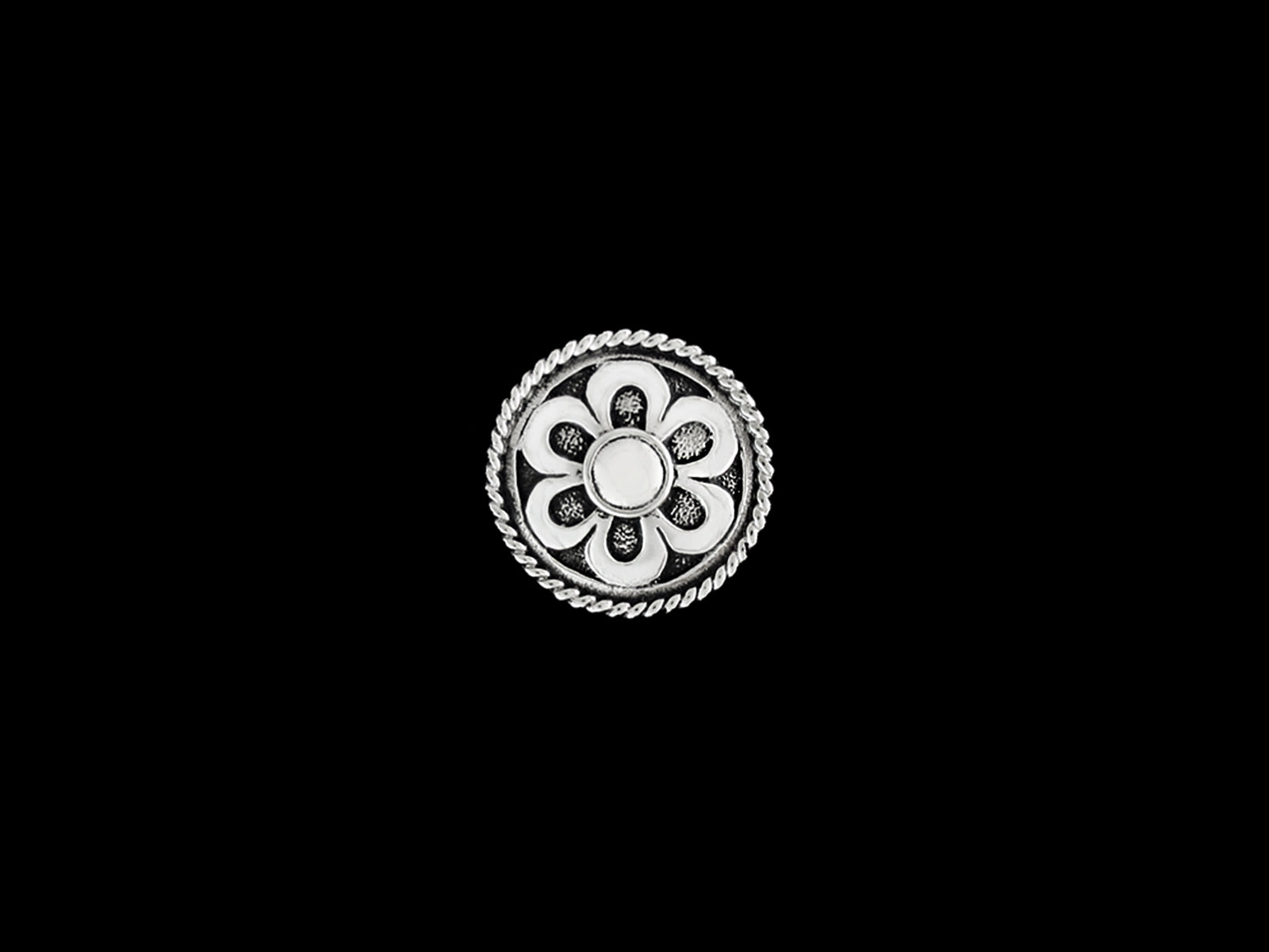 Concha Ornament C9
