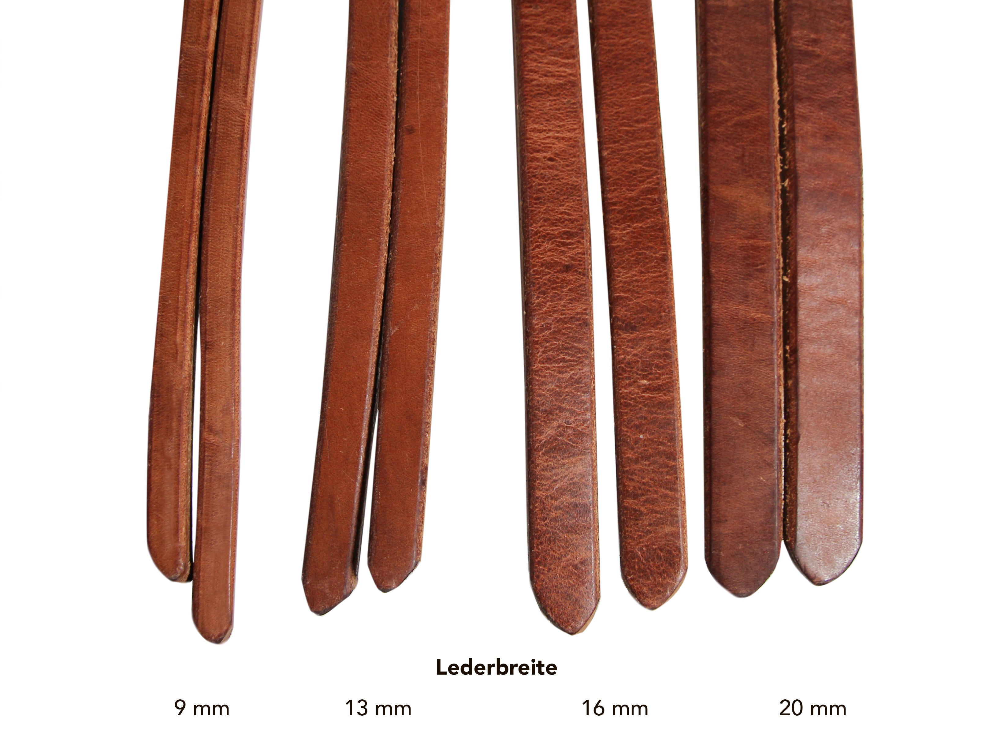 Harness Zügel