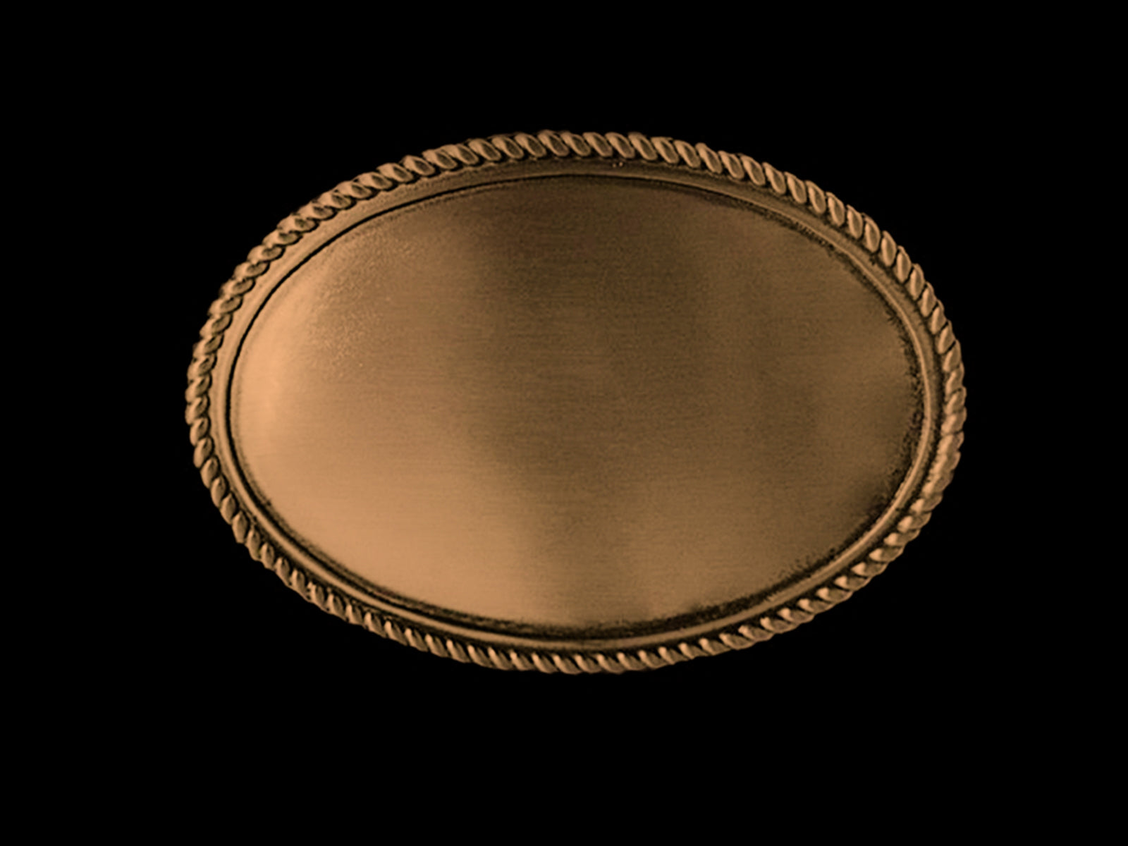 Plakette blank oval C21