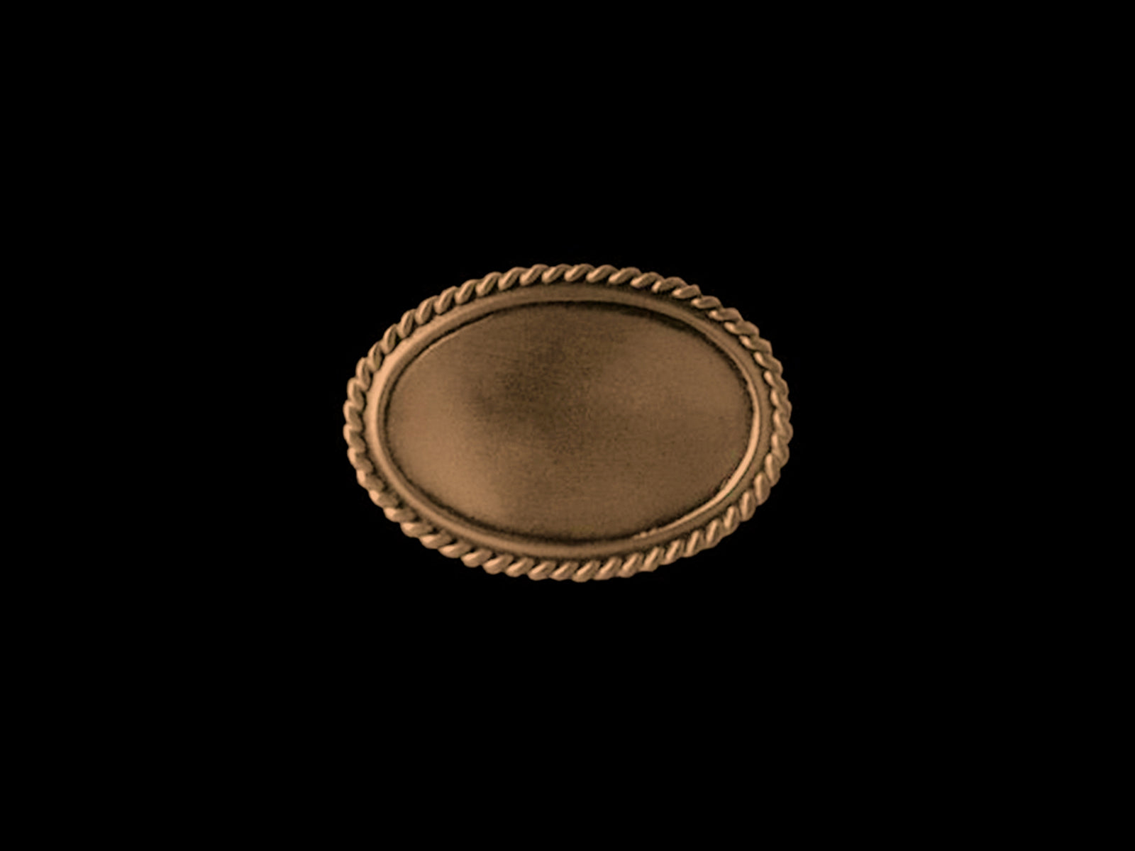Plakette blank oval C22