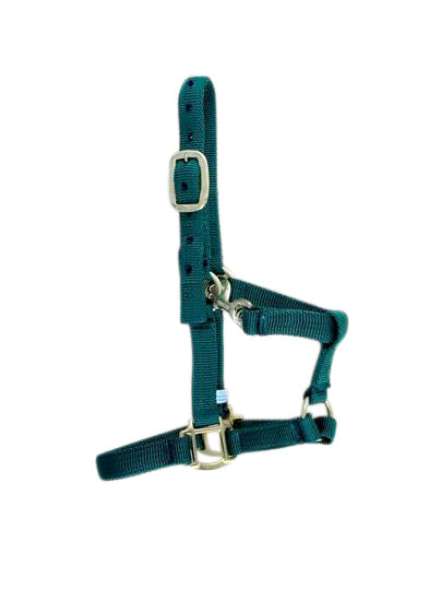 Halfter Nylon Equest