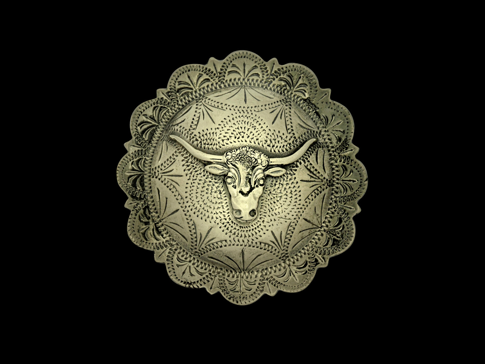 Concha REP Longhorn groß