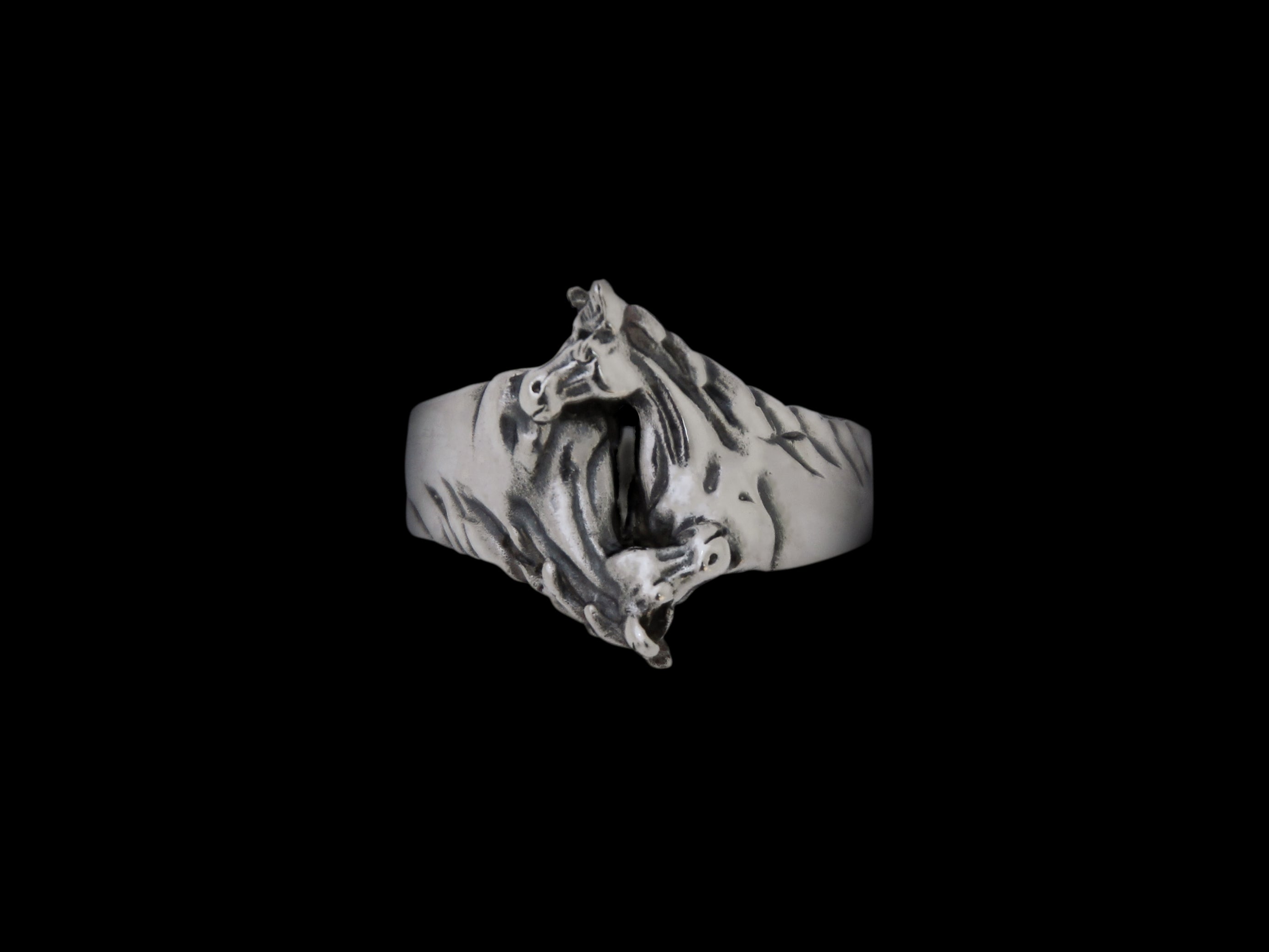 Ring Pferdepaar