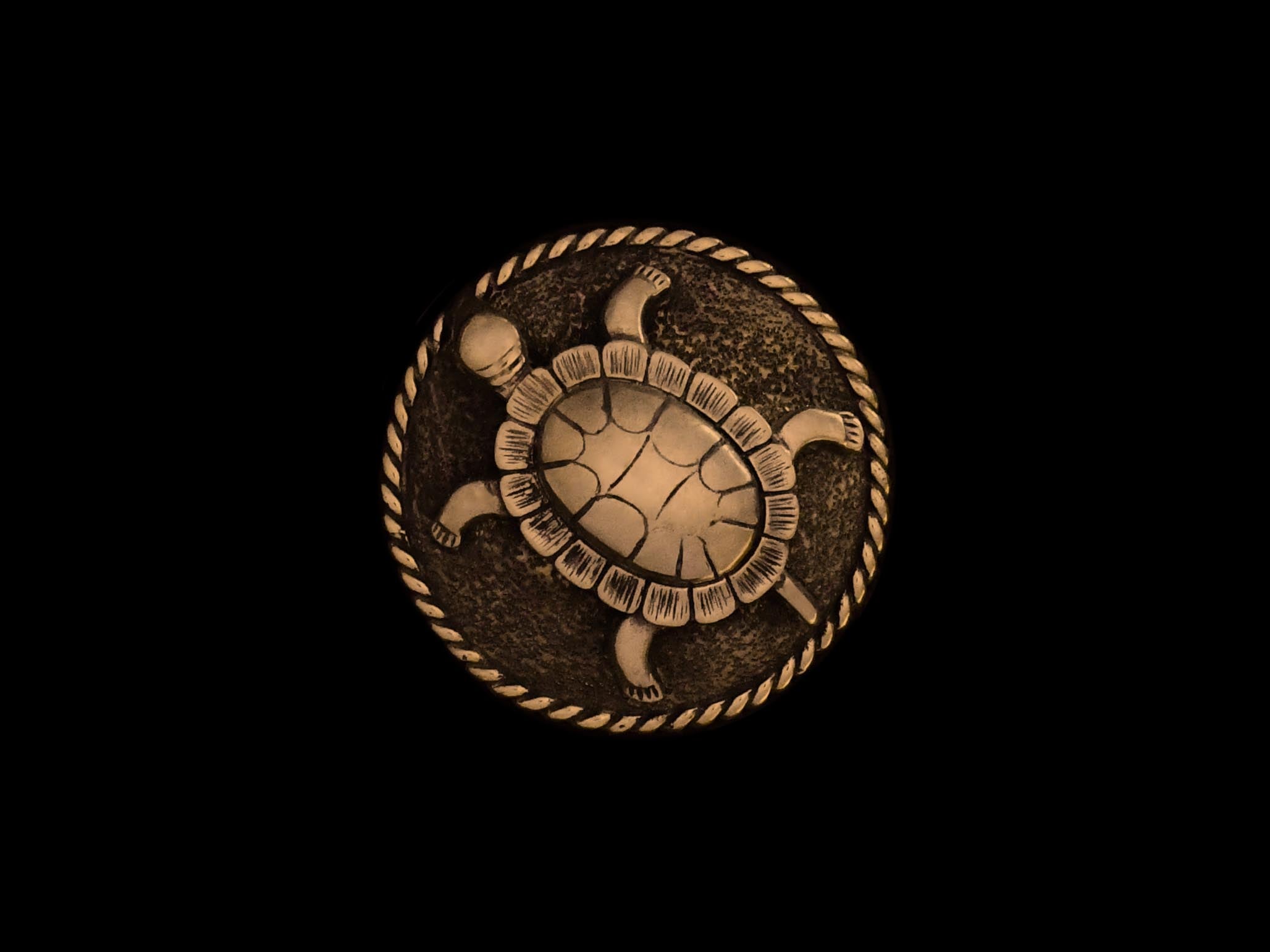 Tuchhalter Schildkröte