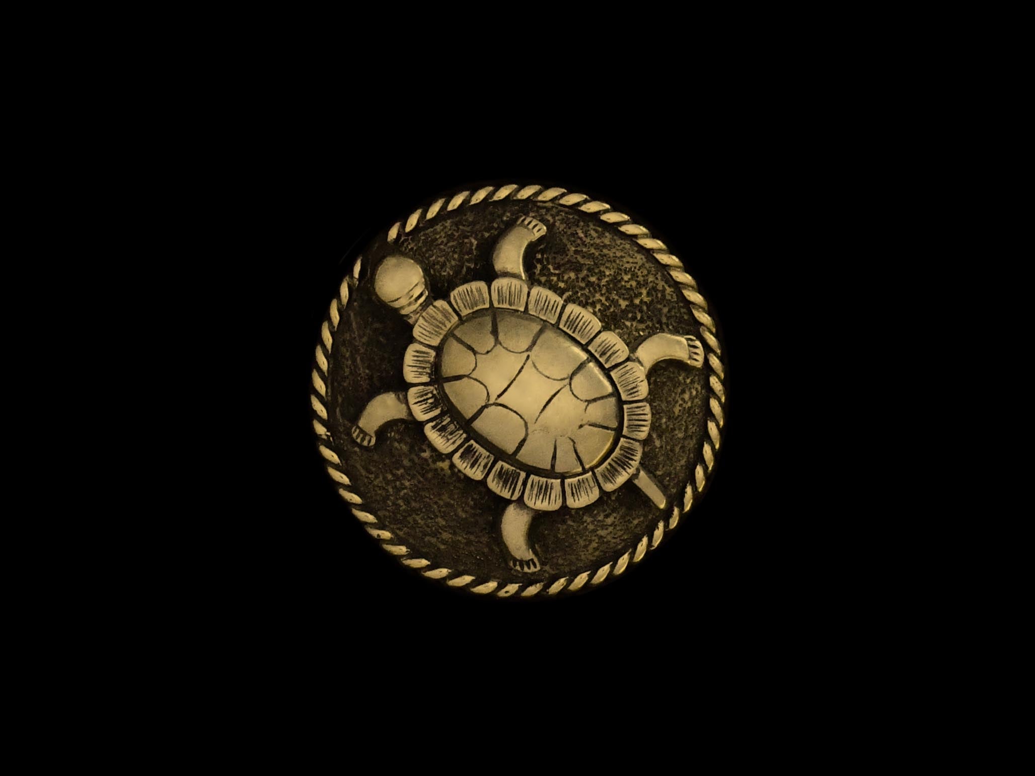 Tuchhalter Schildkröte