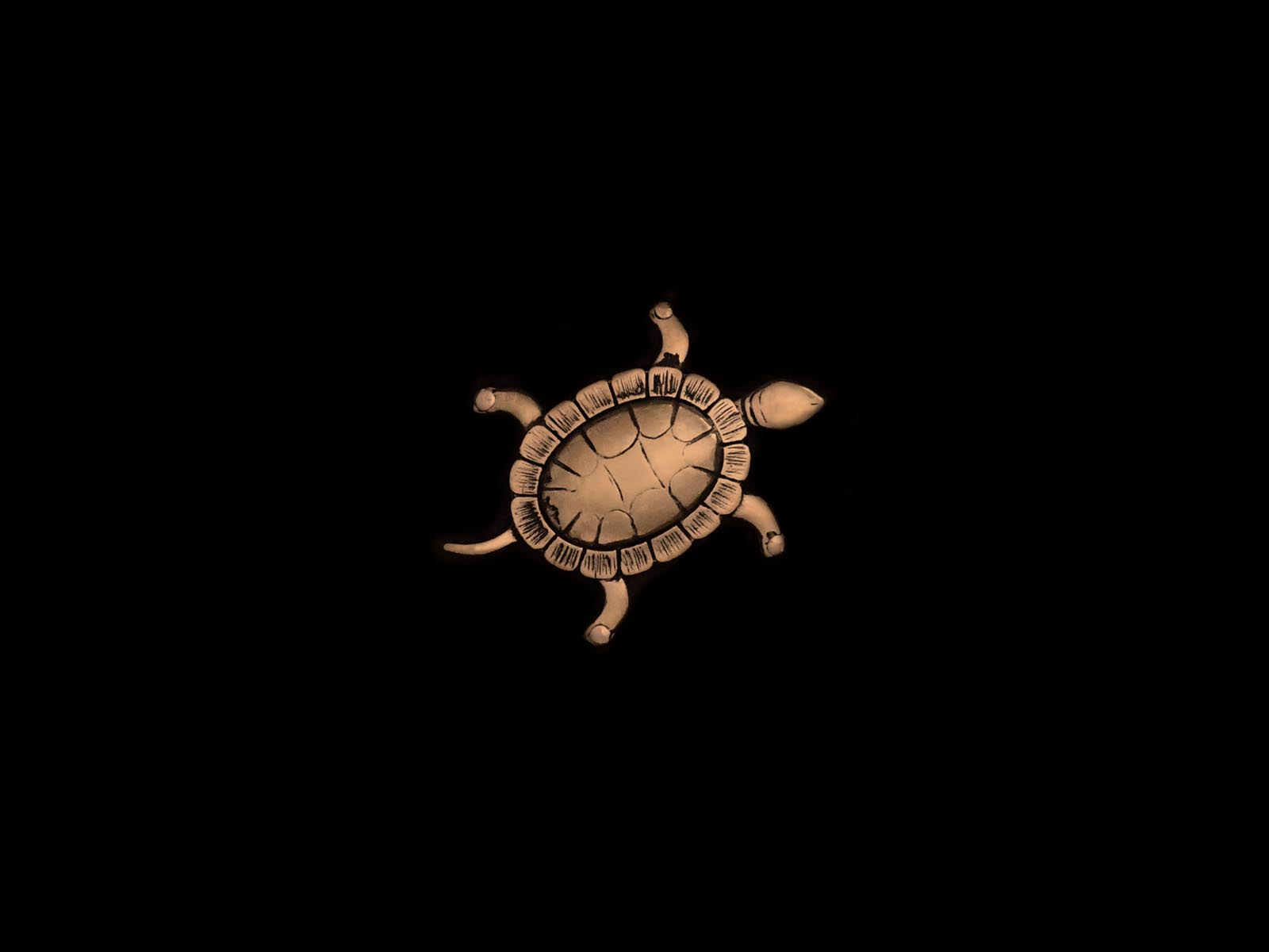Schildkröte