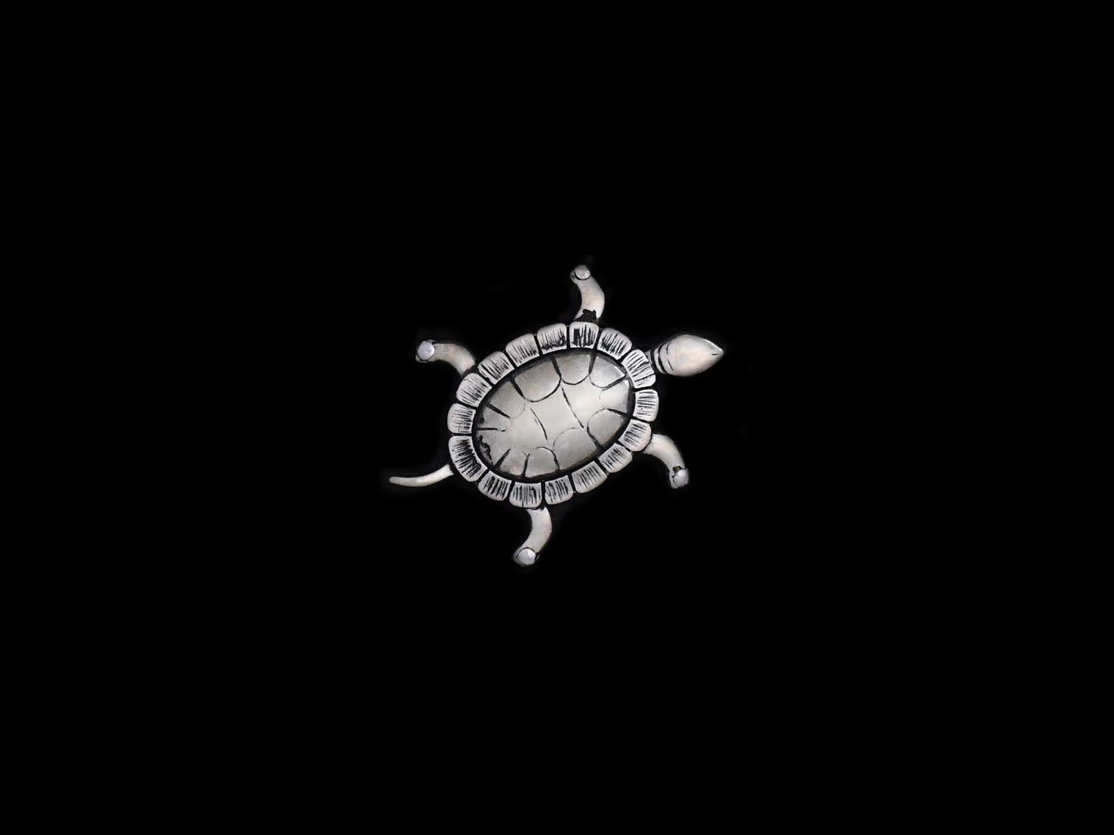 Schildkröte