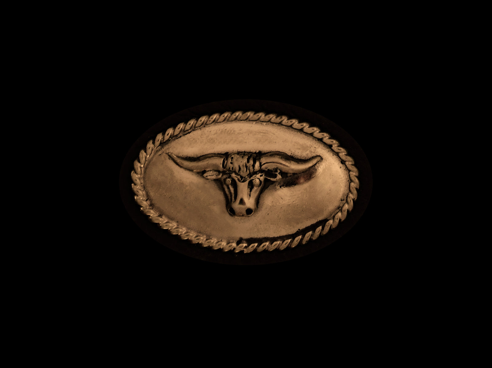Concha Stierkopf oval