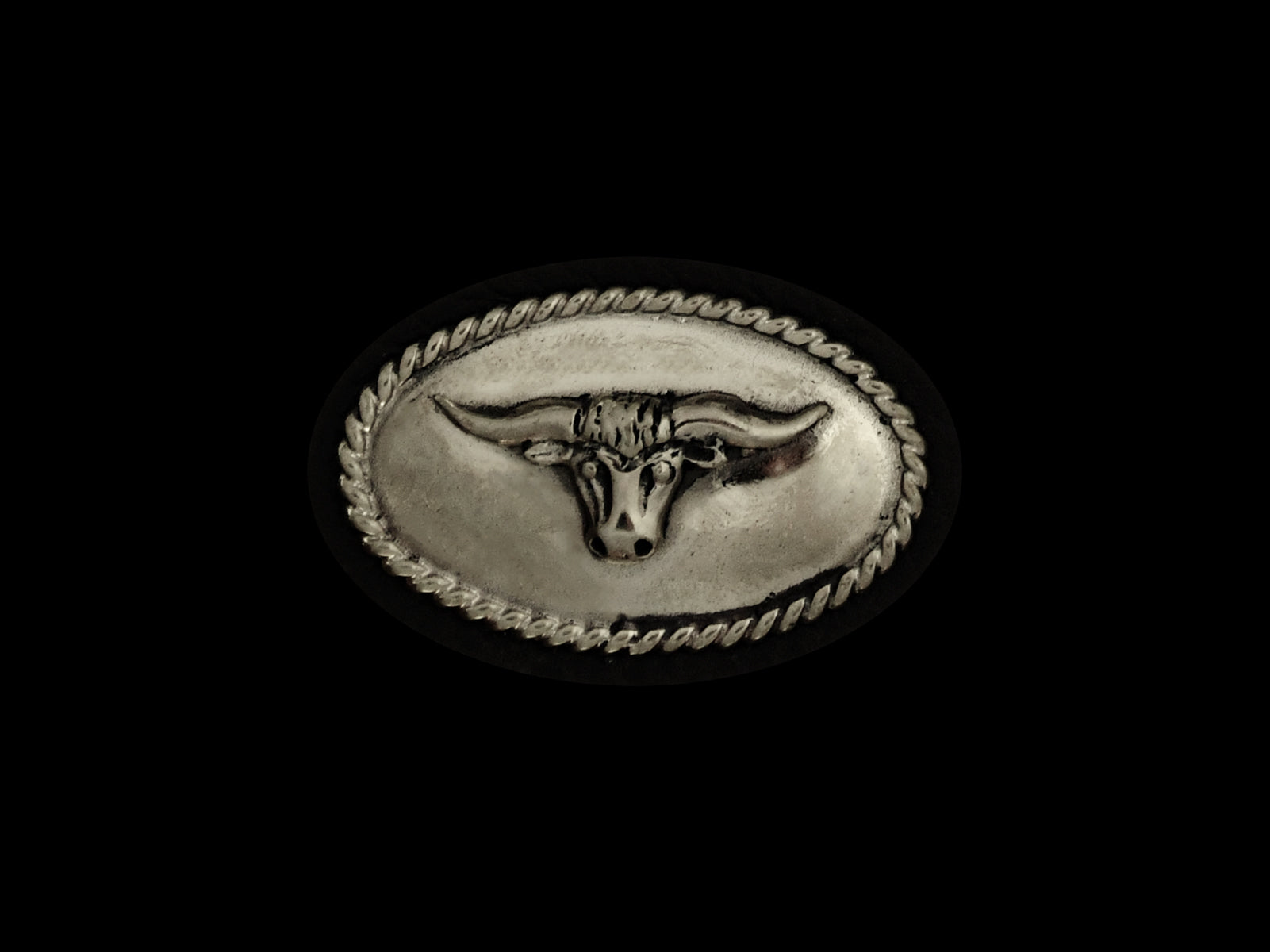 Concha Stierkopf oval