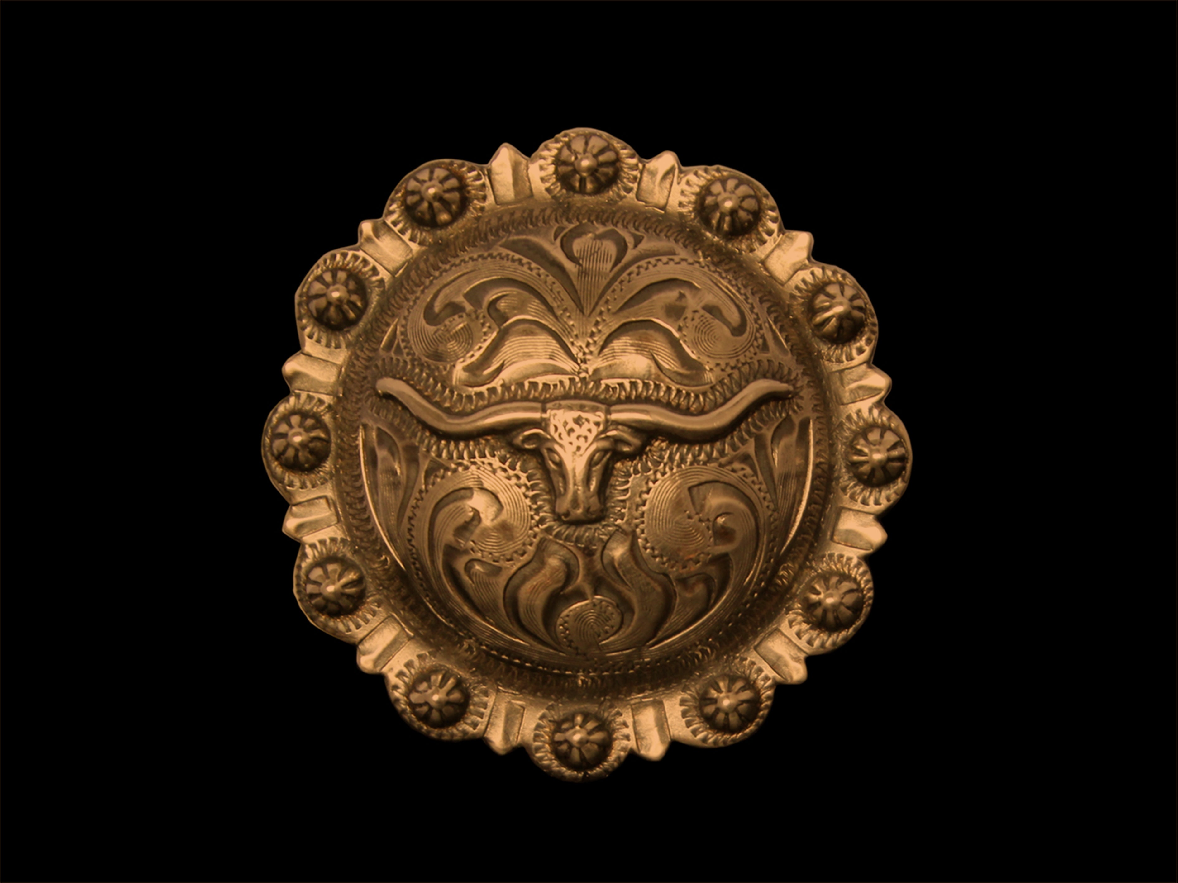 Concha REP Longhorn klein